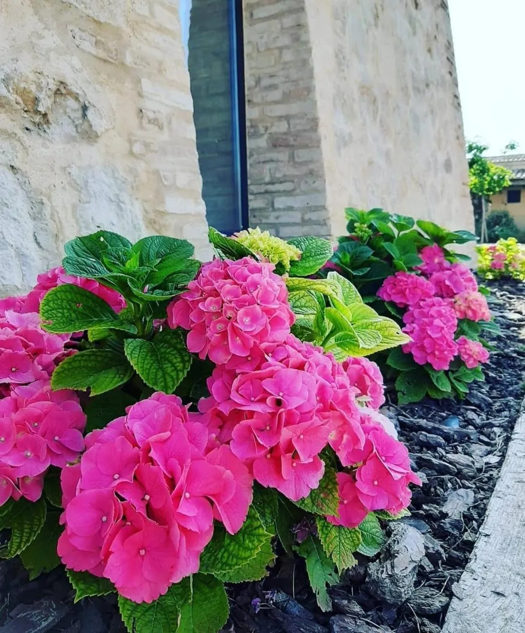 Hotel Rural El Teular