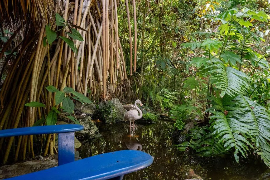 Casa El Paraiso, Eco Lodge