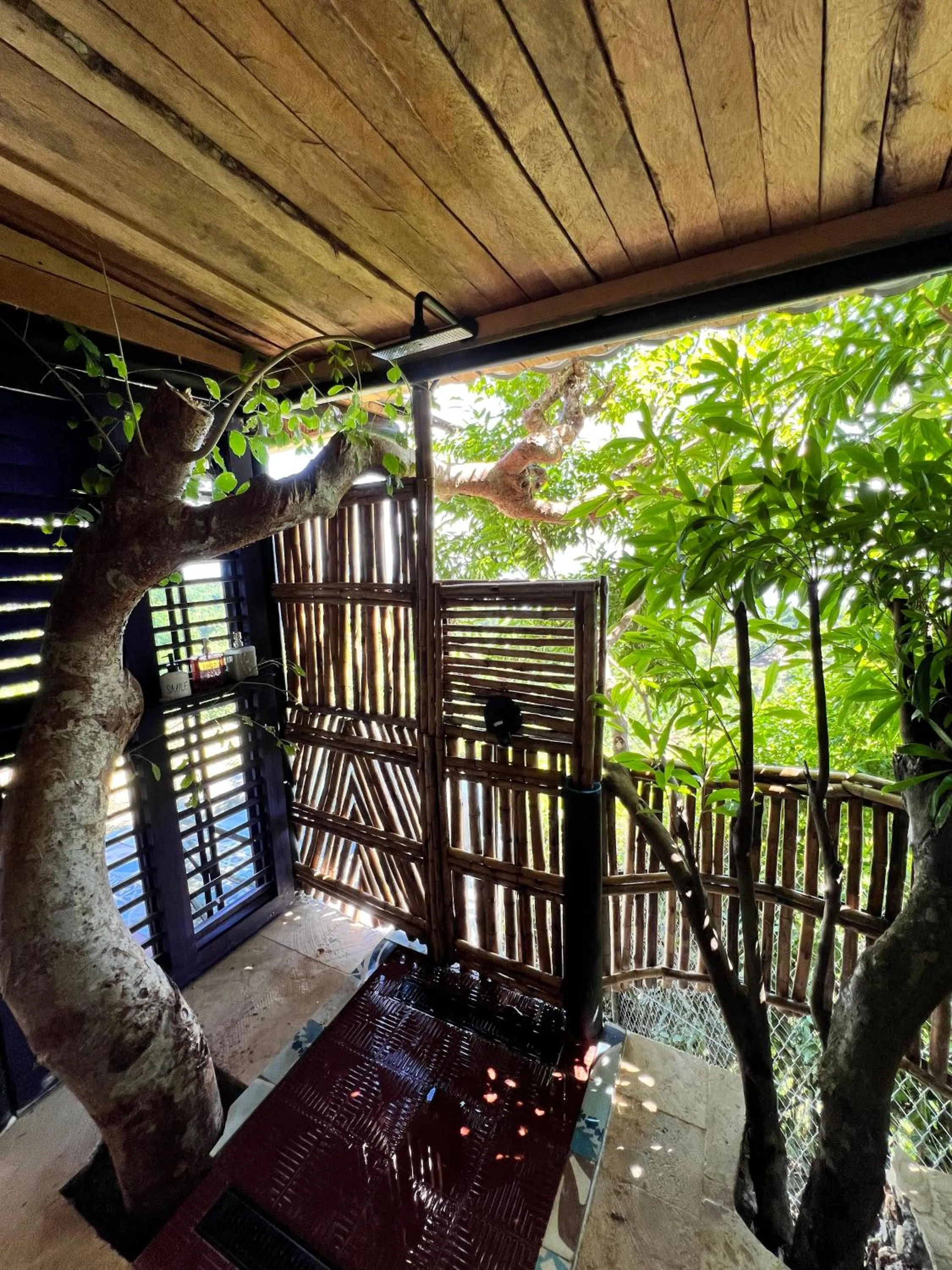 Natural landscape in Casa El Paraiso, Eco Lodge