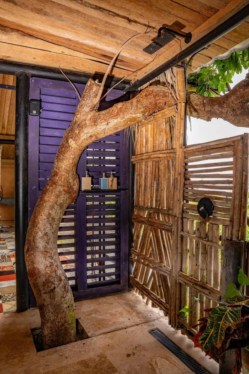 Casa El Paraiso, Eco Lodge