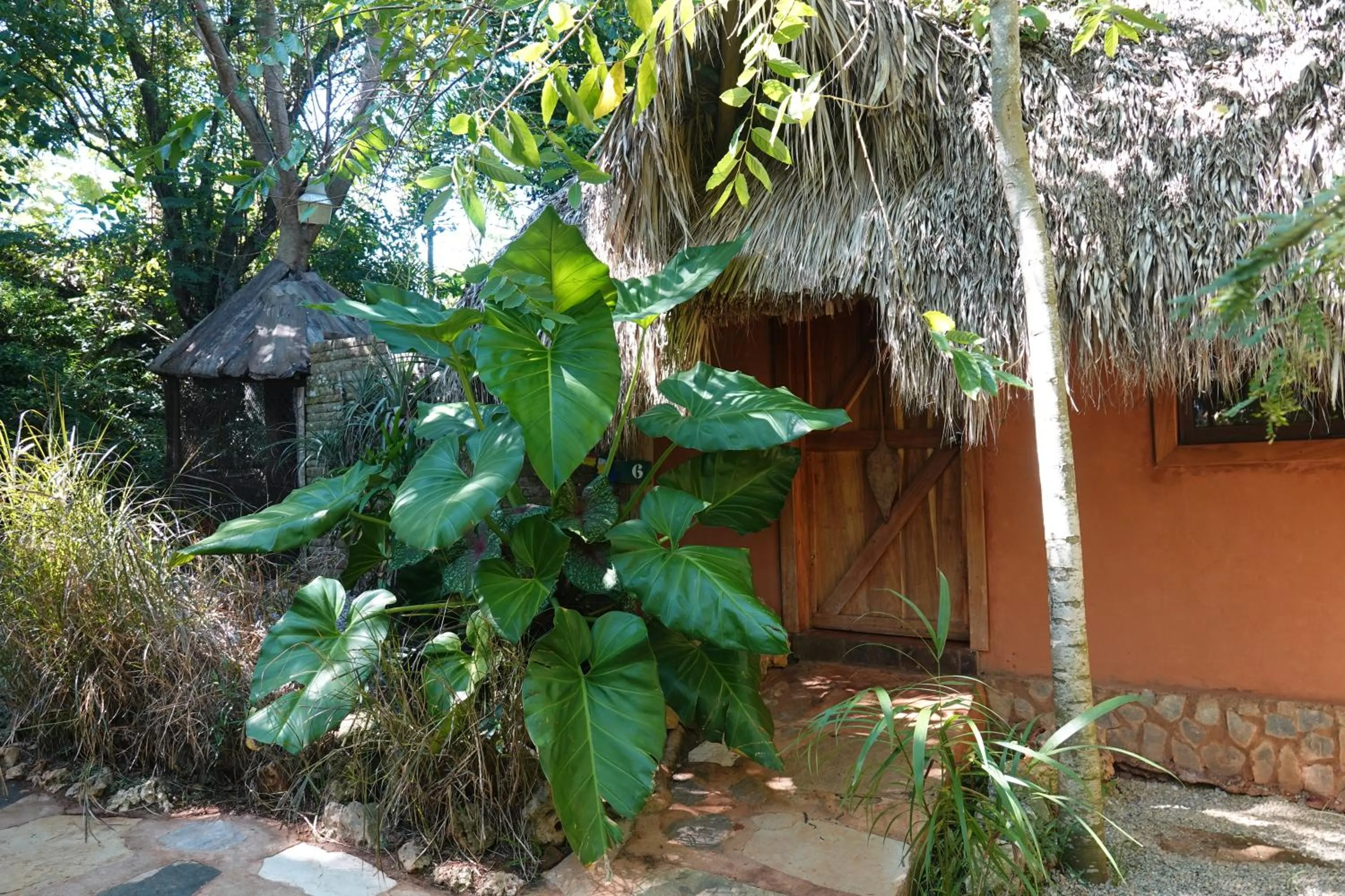Property building in Casa El Paraiso, Eco Lodge