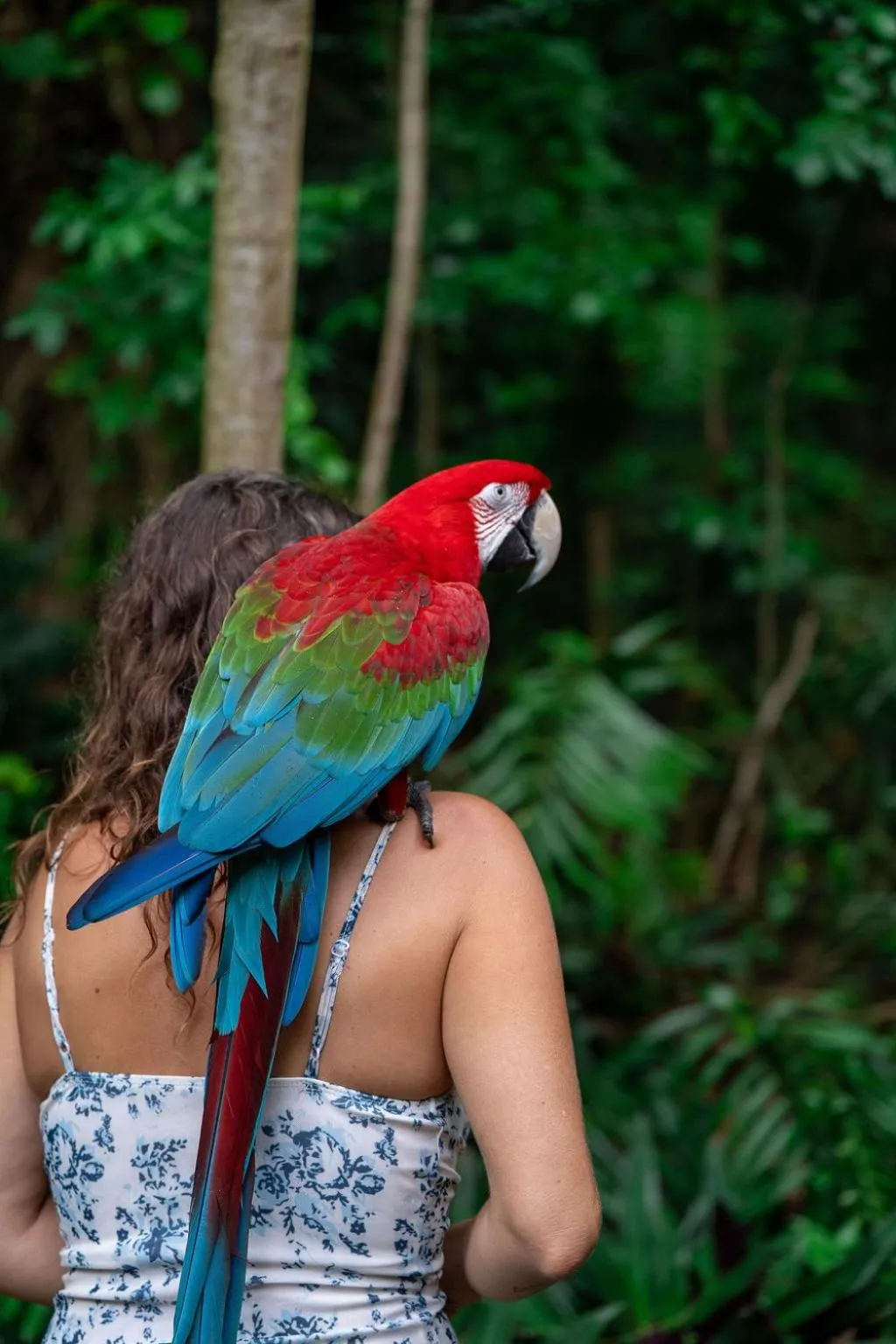 Casa El Paraiso, Eco Lodge