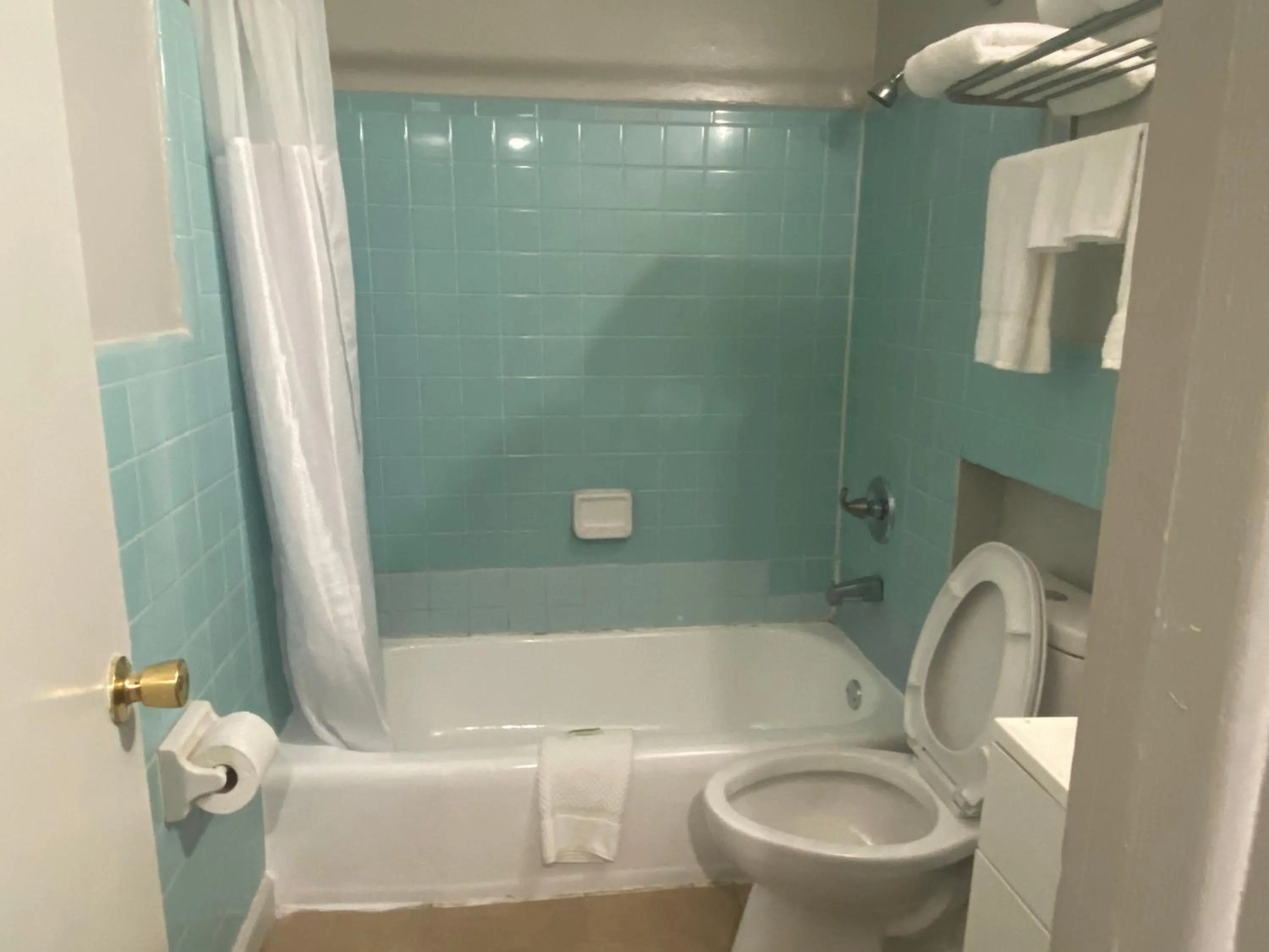Shower in PASCAGOULA EXTENDED STAY