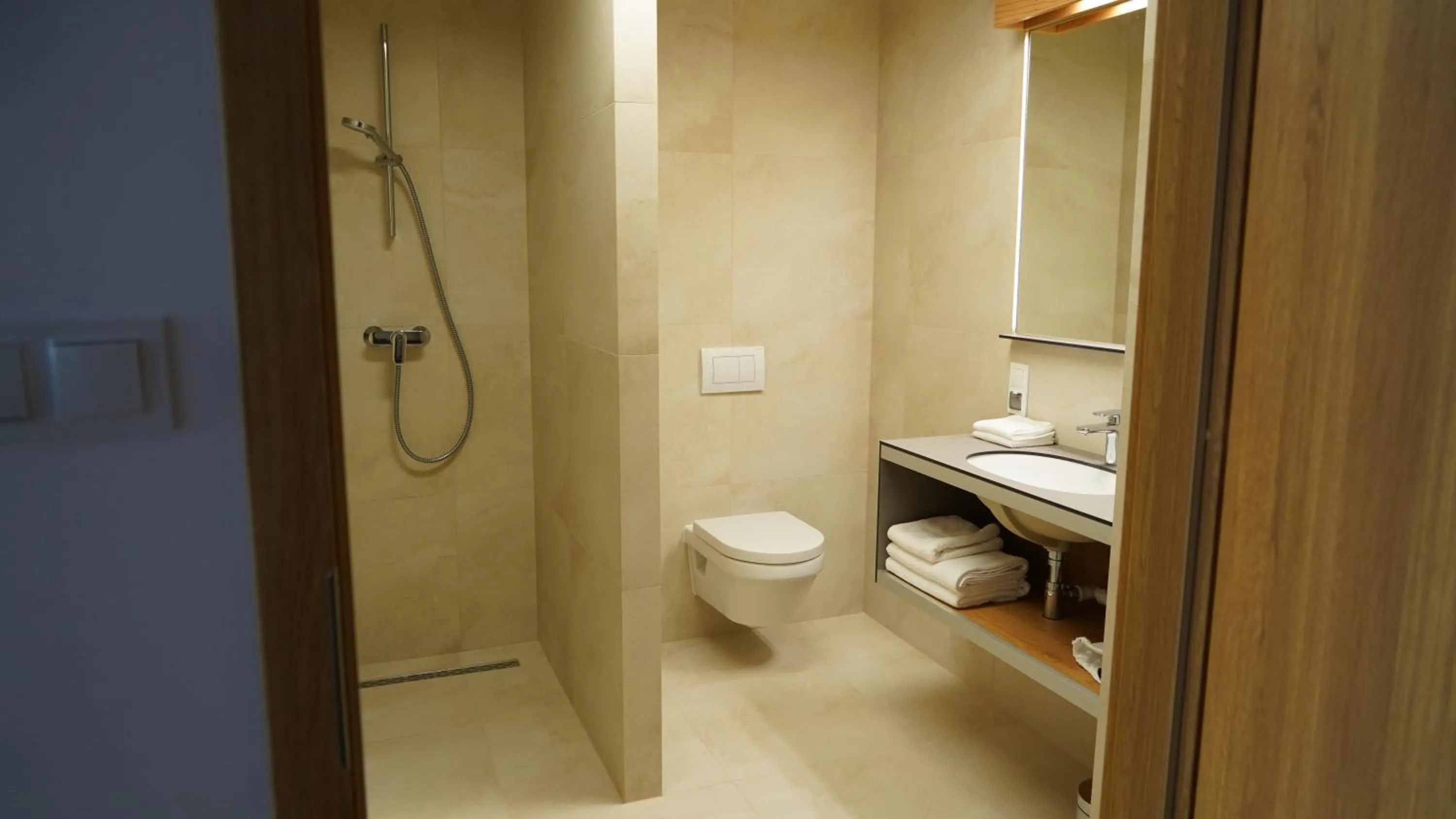 Shower in Apartament Aparthotel Passage