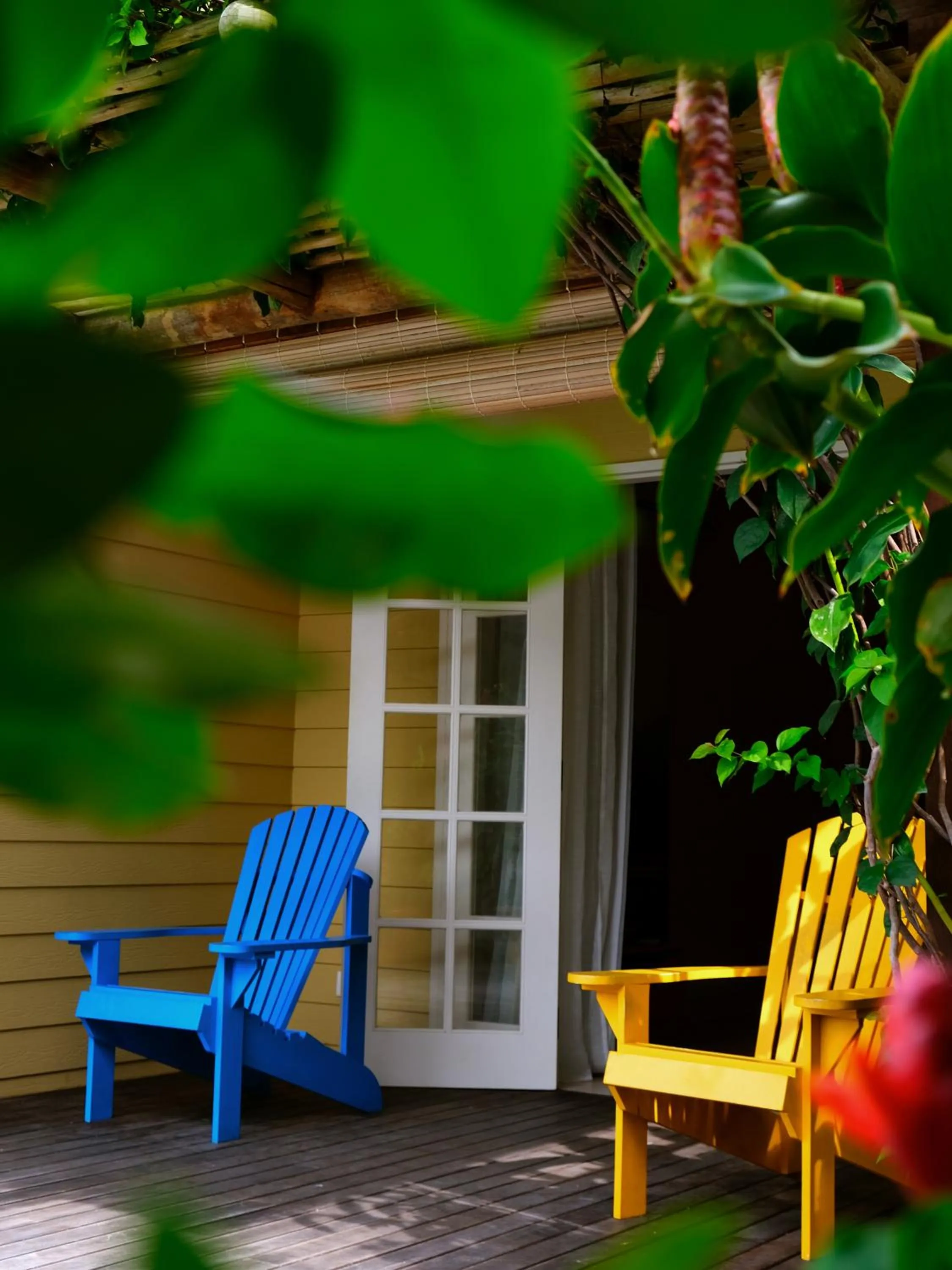 Swimming pool in Residence Praslinoise