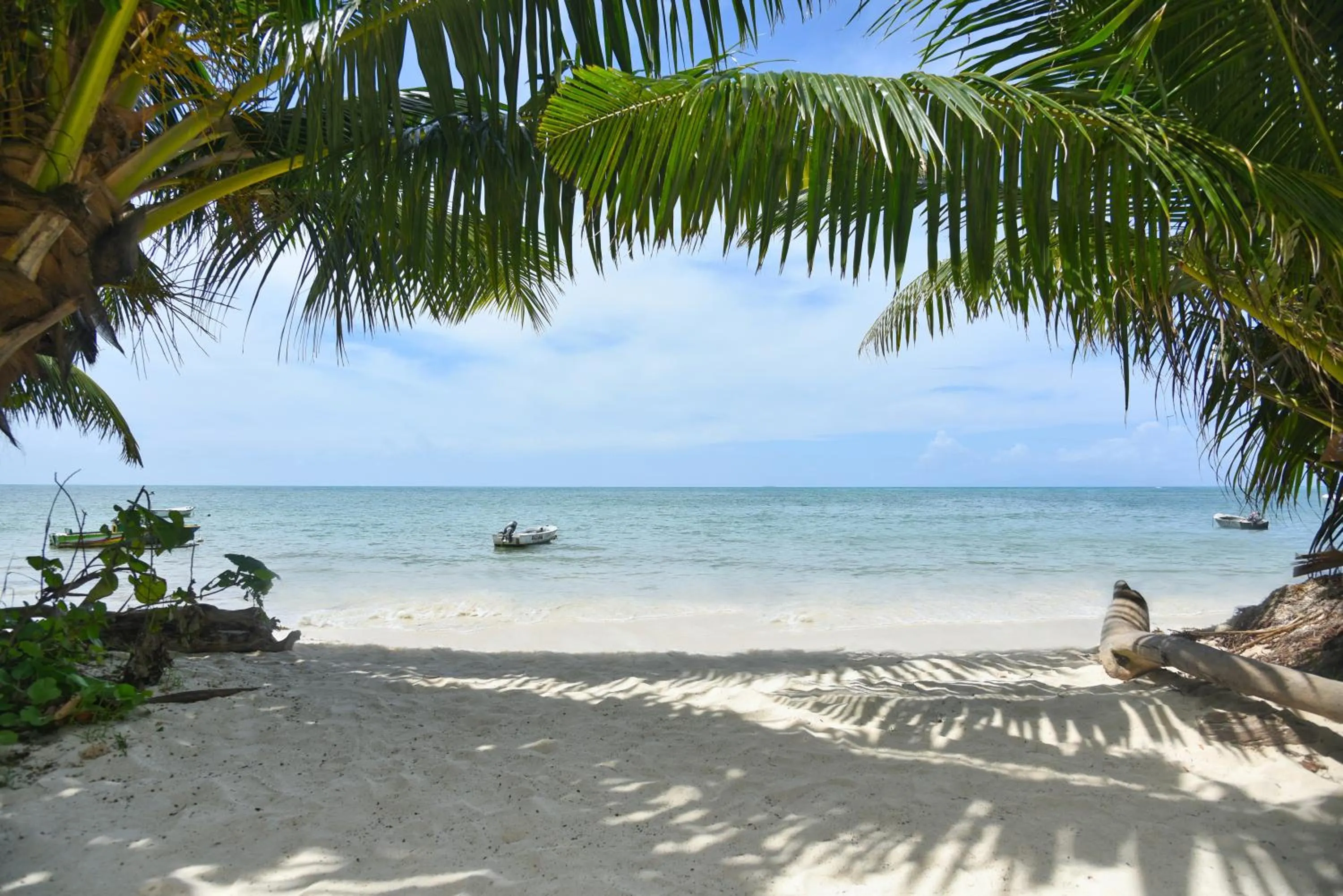 Natural landscape in Residence Praslinoise