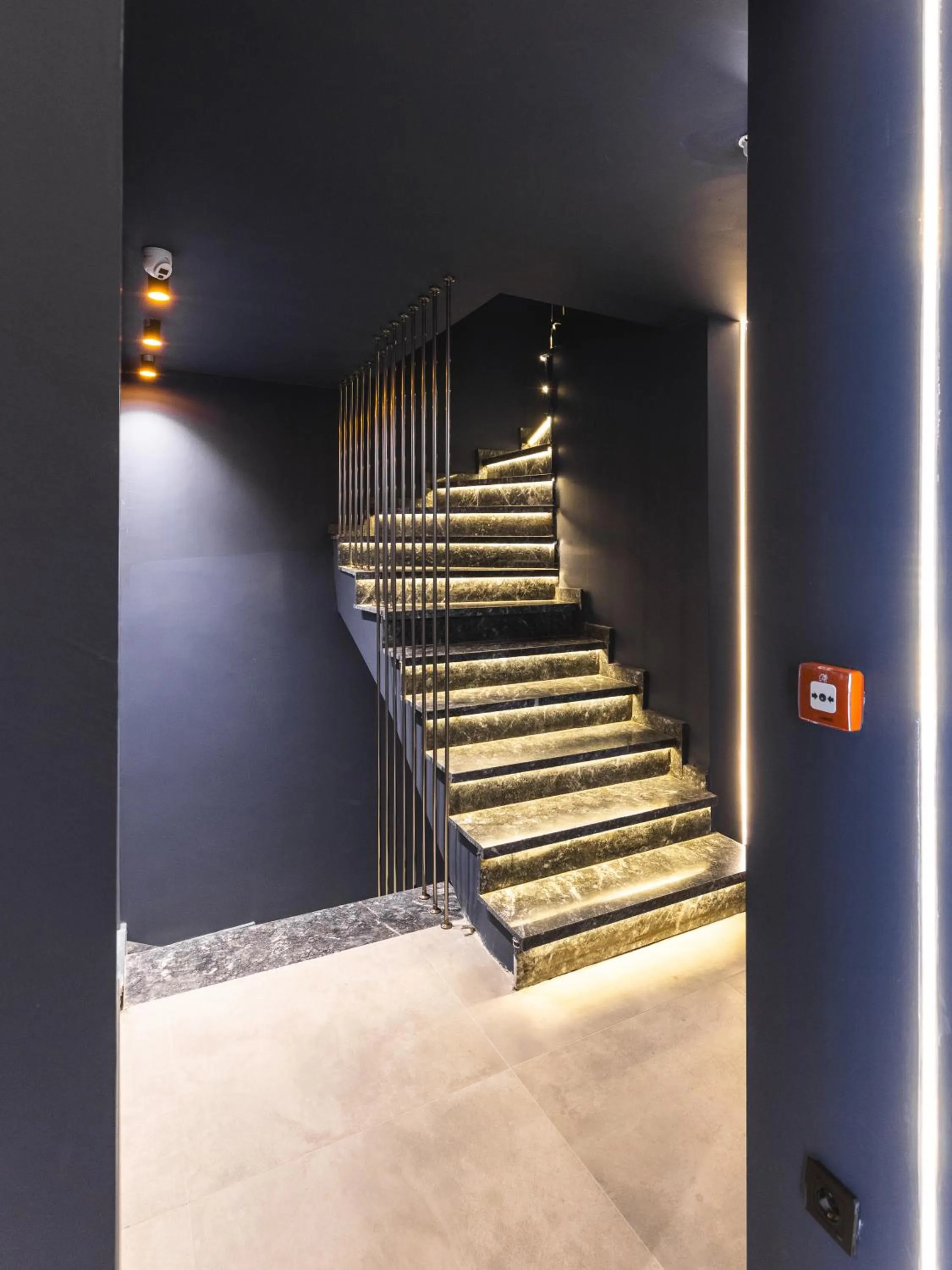 Floor plan in Luff Living - Adult Only 12 Plus