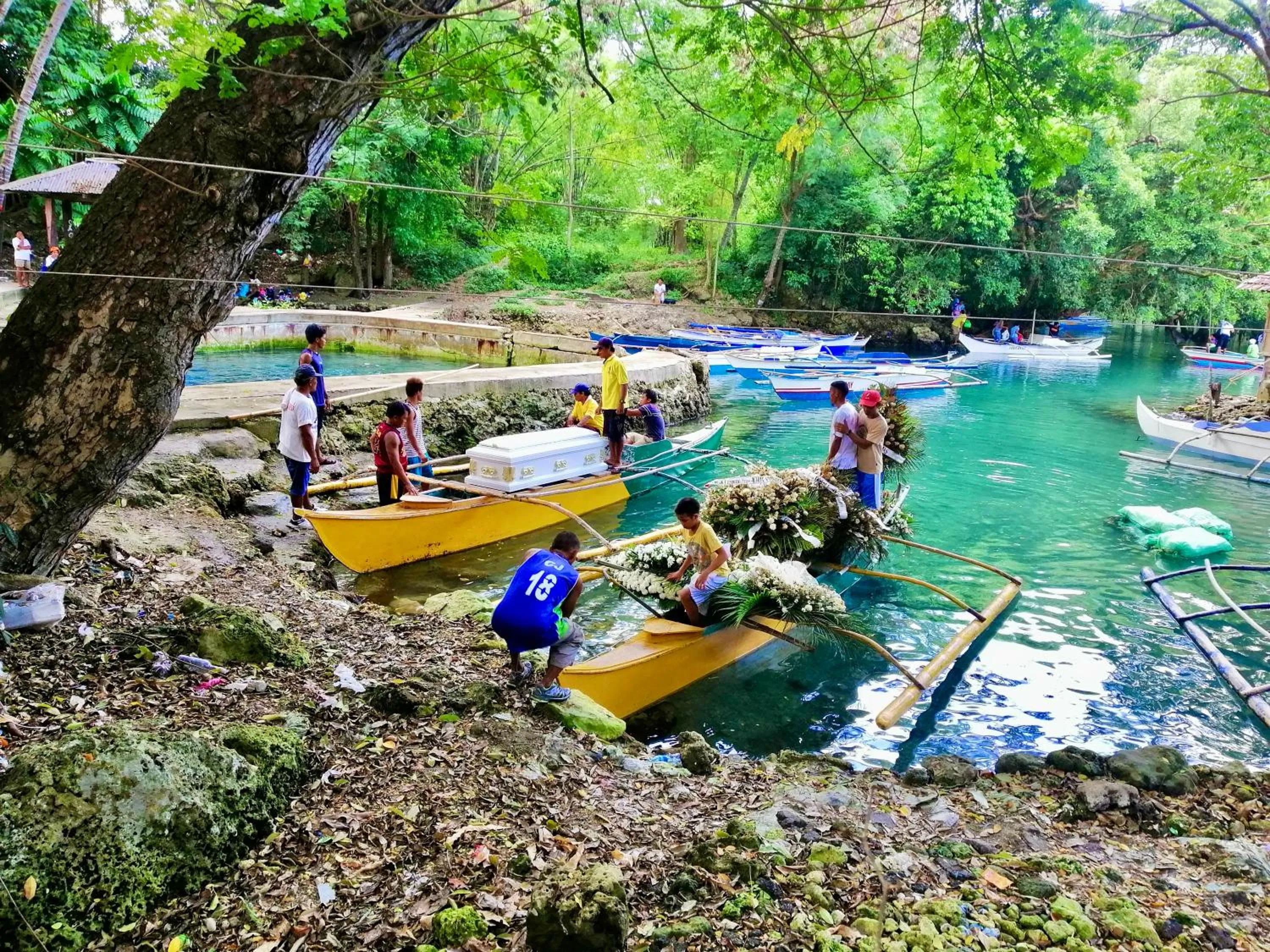 Natural landscape in TGH Guest House Badian