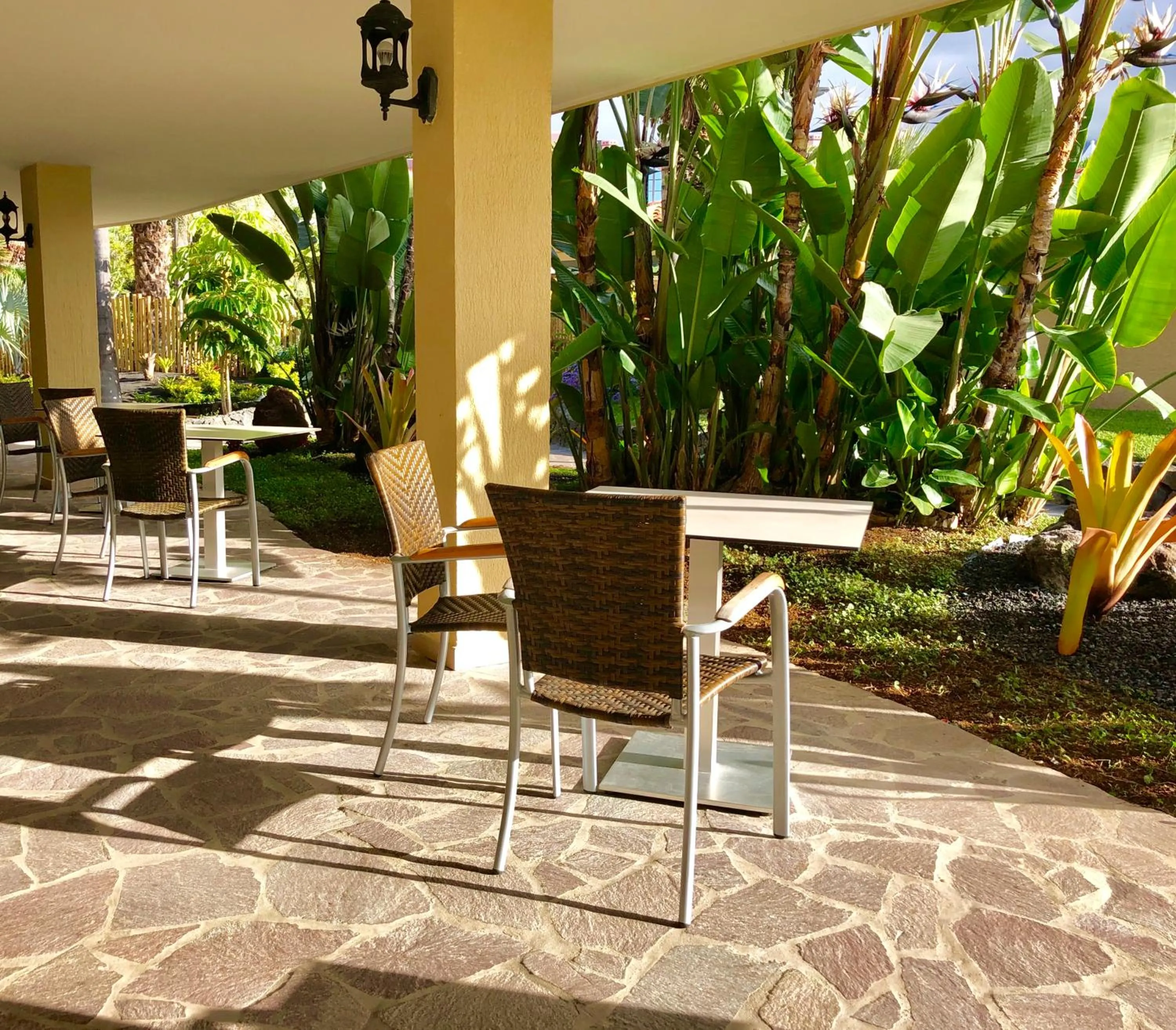 Restaurant/places to eat in Apartamentos Tigaiga Suites