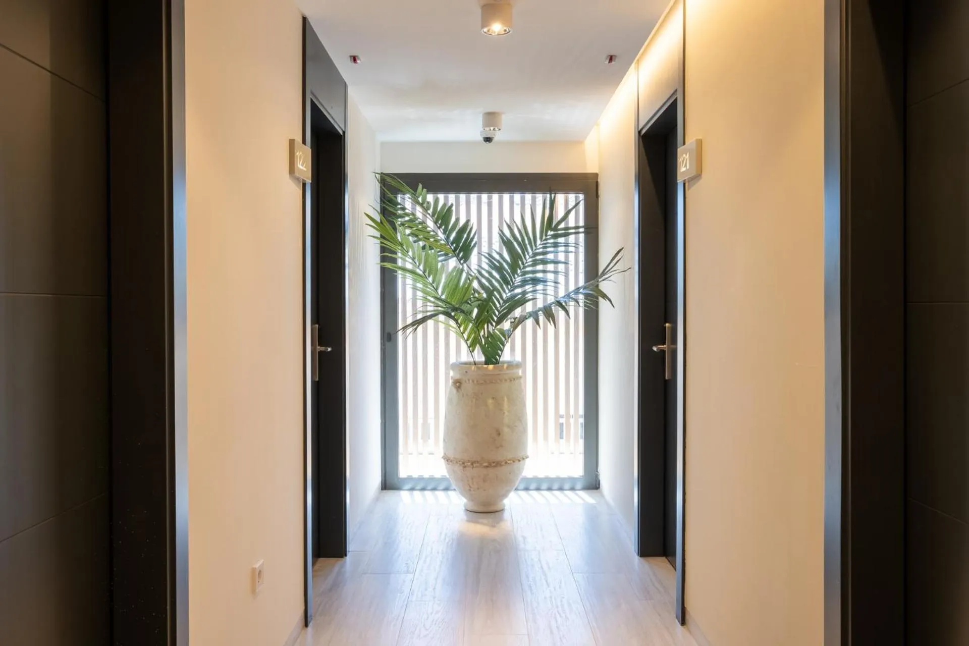 Area and facilities in Hotel Cetina Cabo de Palos Puerto