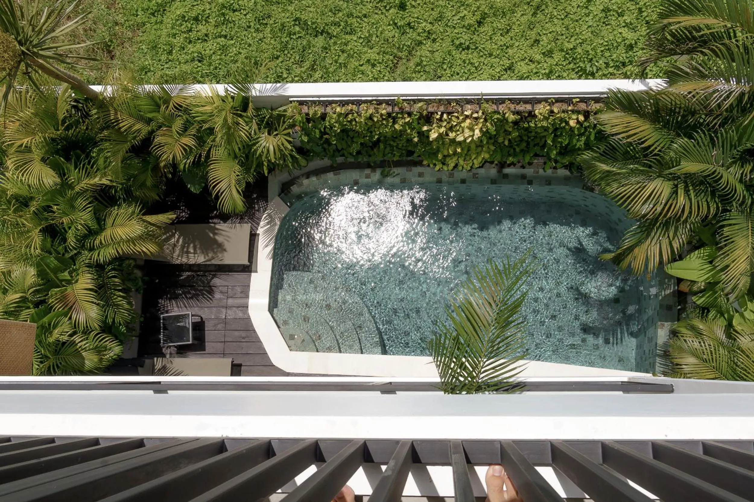 Garden in Sunny Aparts 1