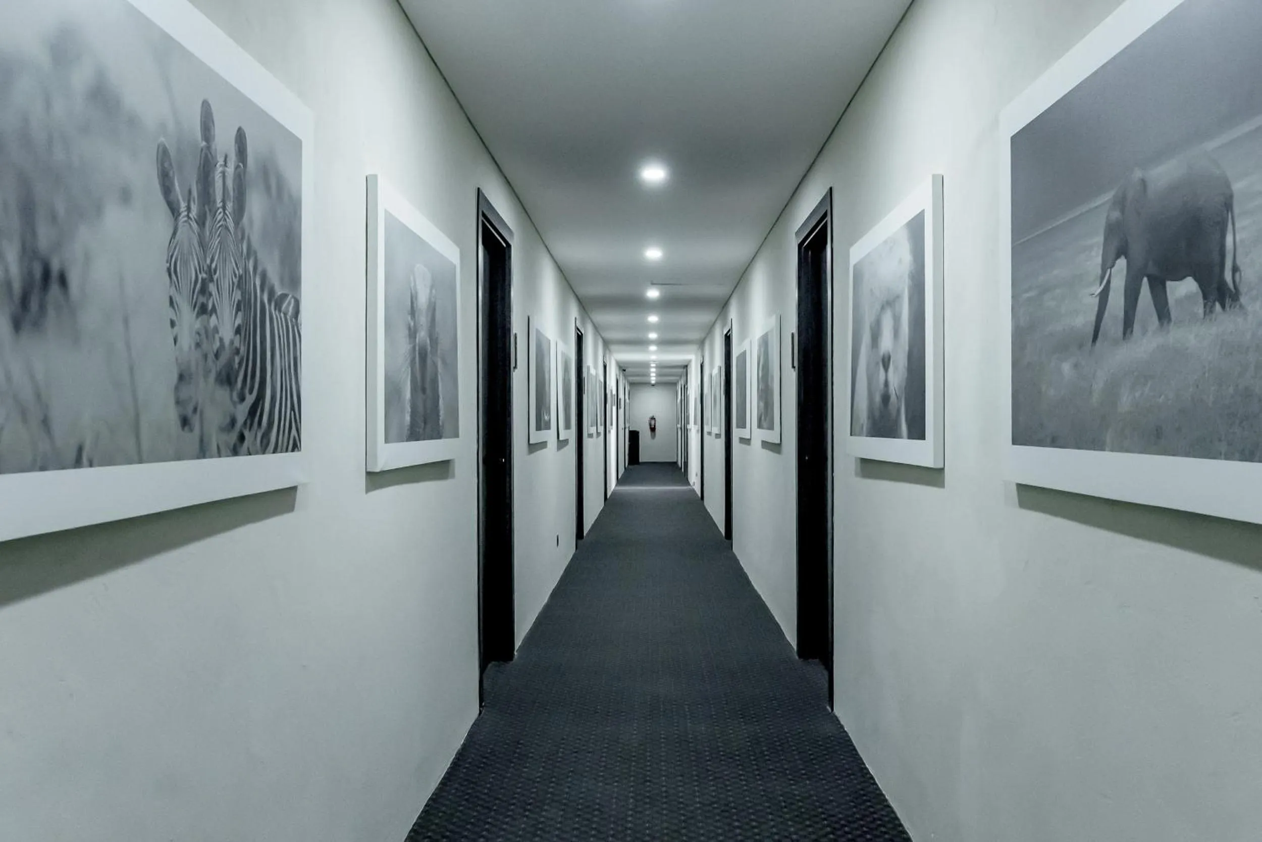 Property building in Sunny Aparts 1