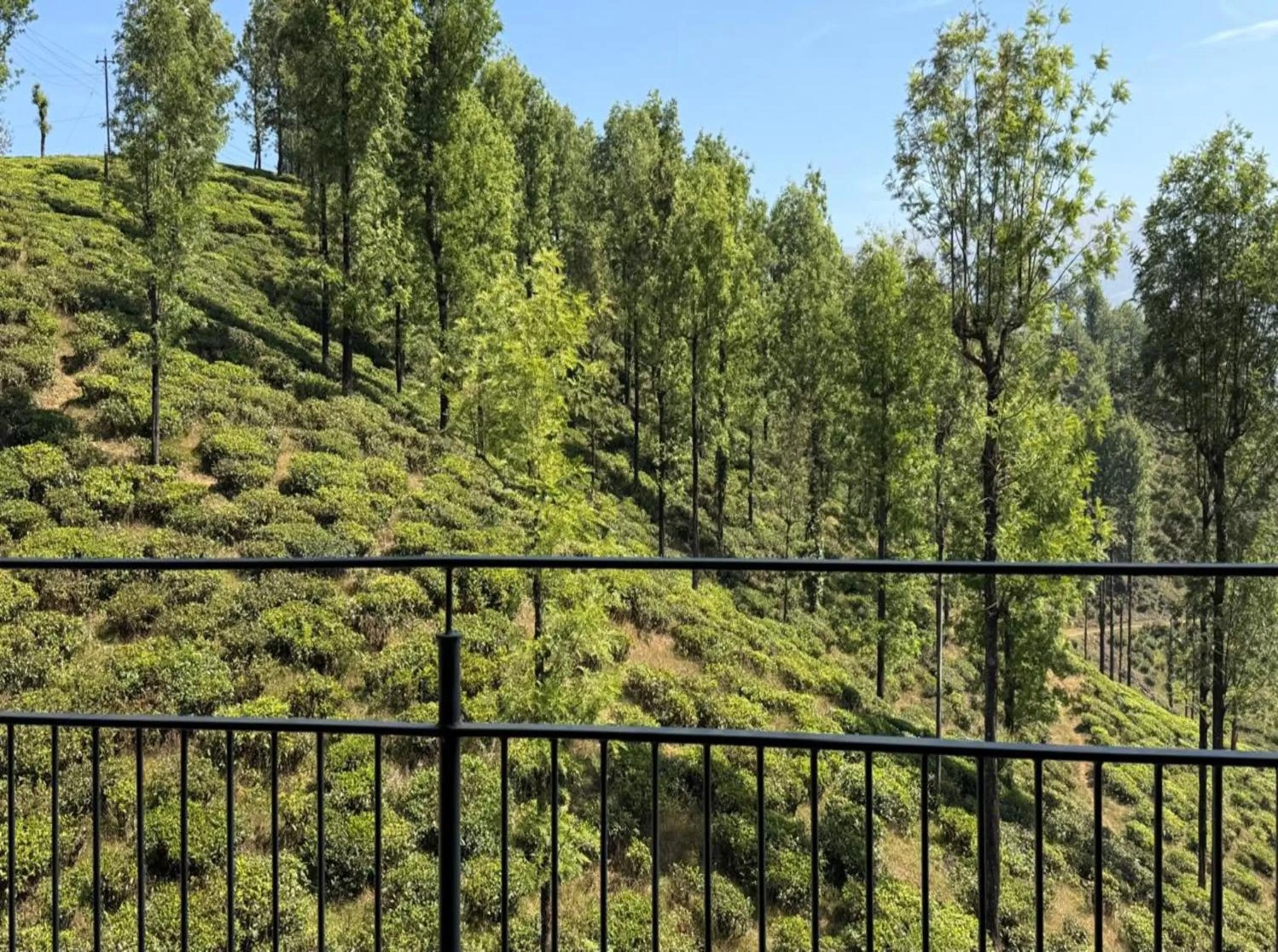 Natural landscape in WINTEL WILD