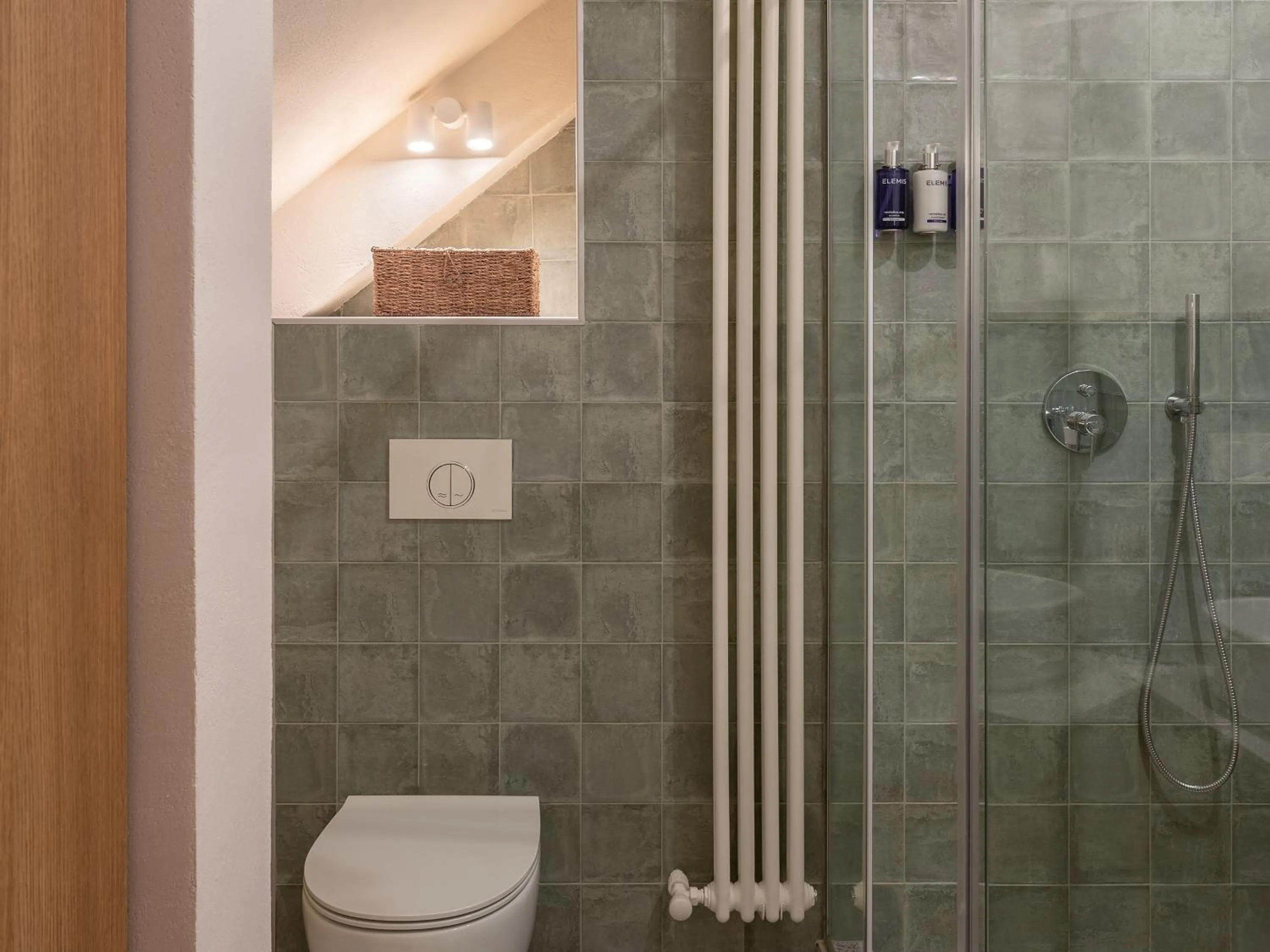 Shower in Apart-In Georgia