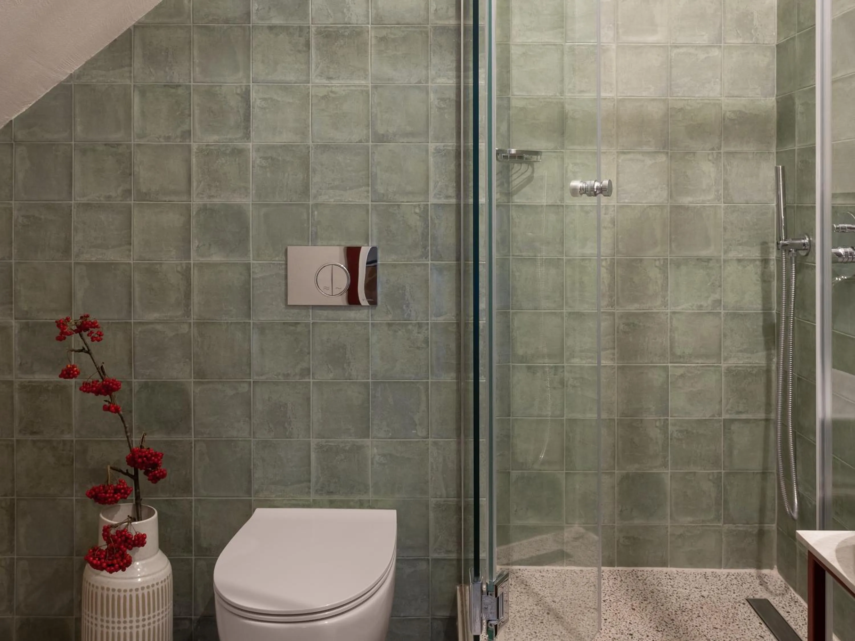 Shower in Apart-In Georgia