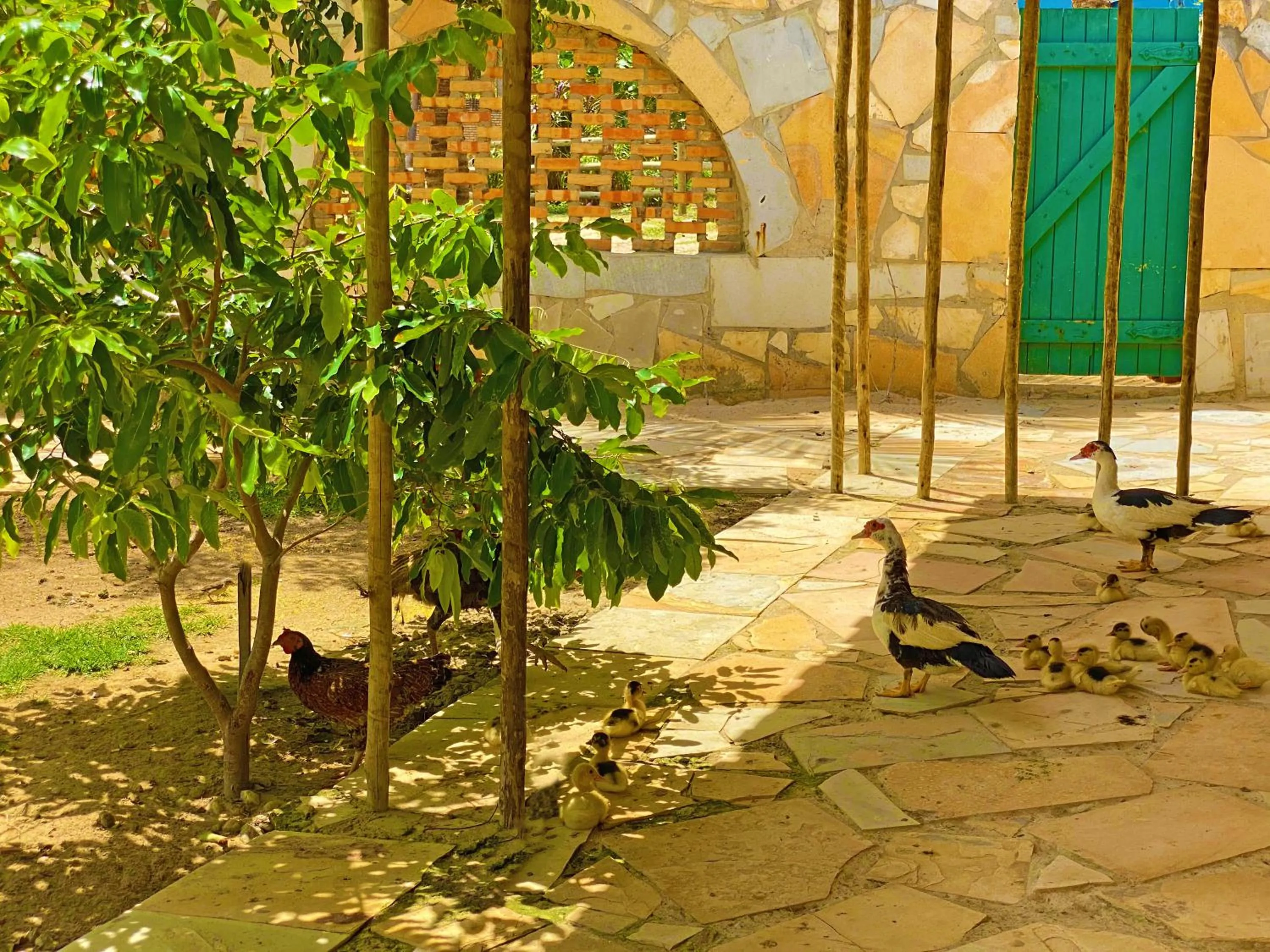 Hotel Parque das Fontes