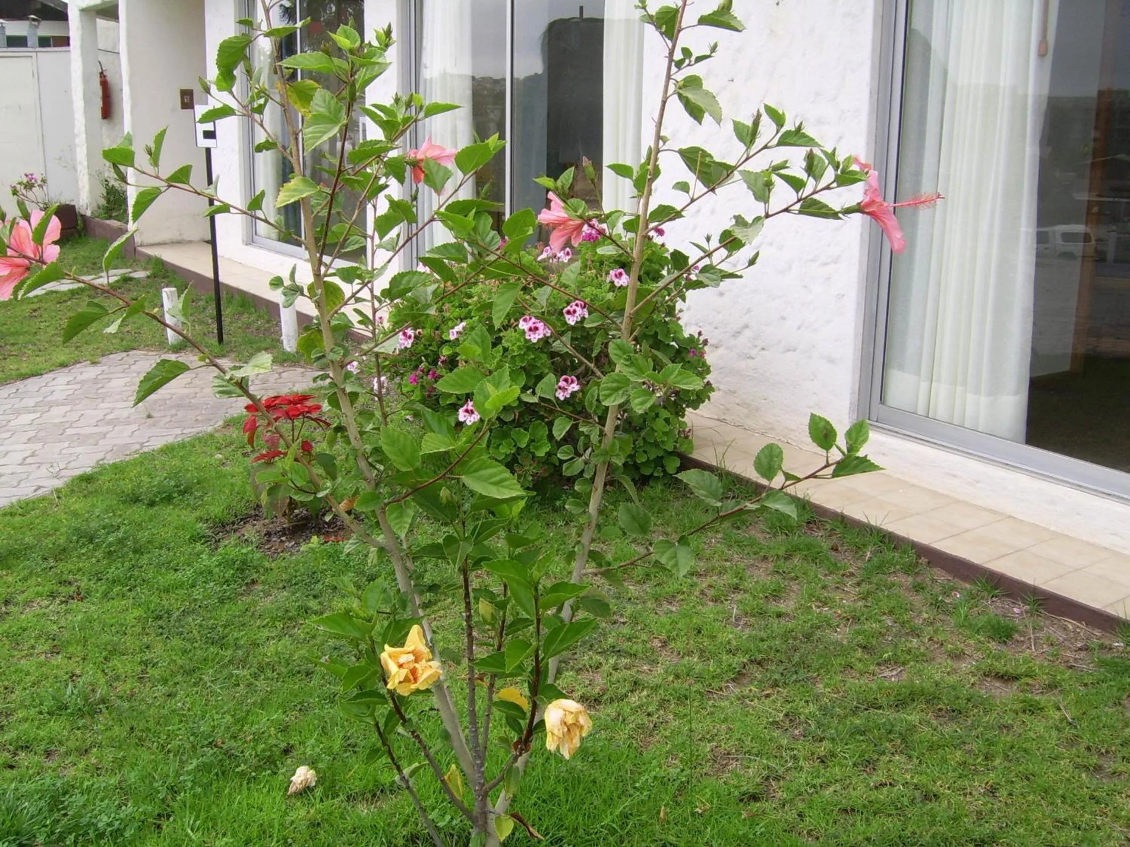 Garden in Cabañas y Deptos Las Golondrinas