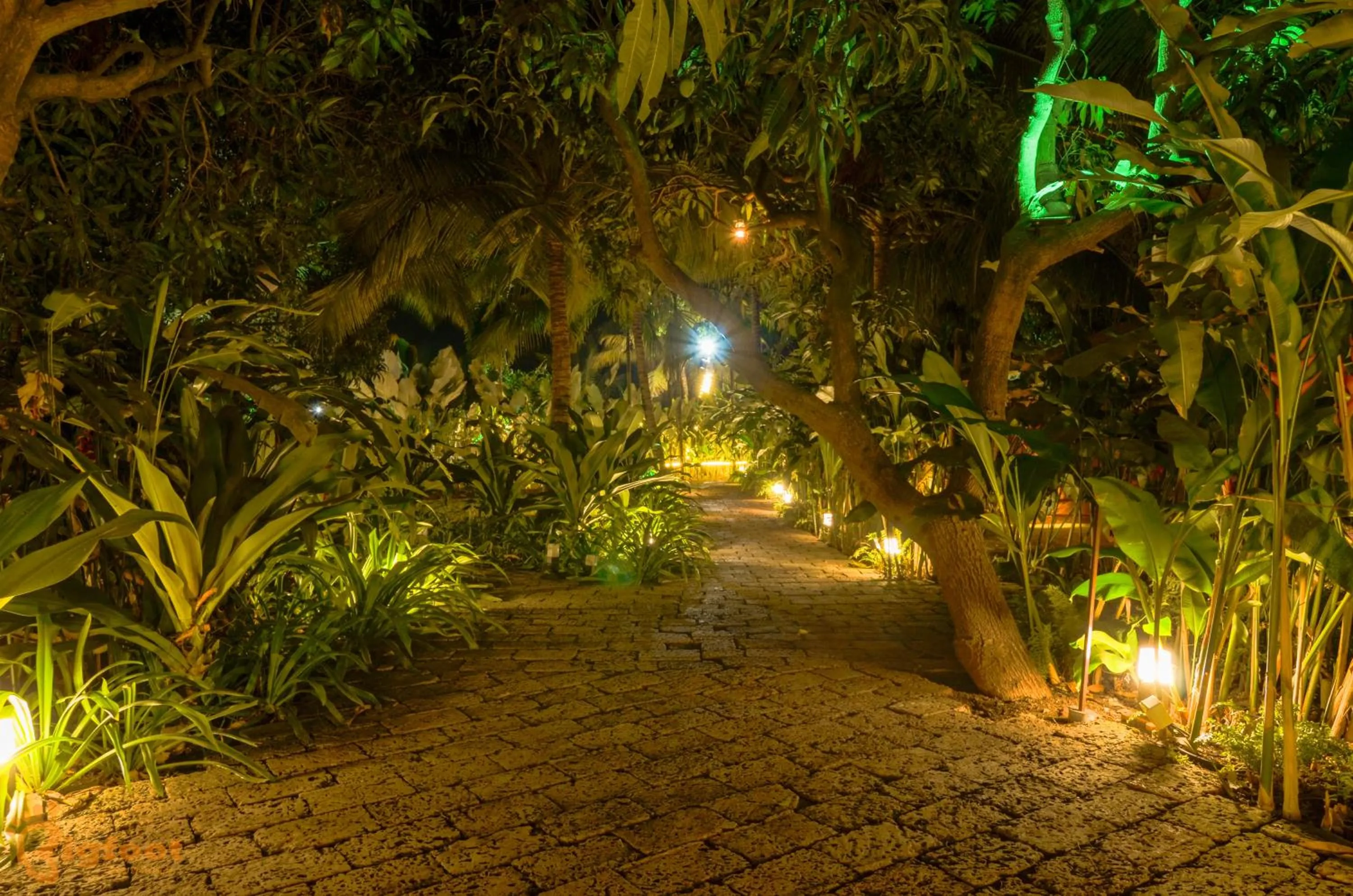 Spring in Jomo Resort