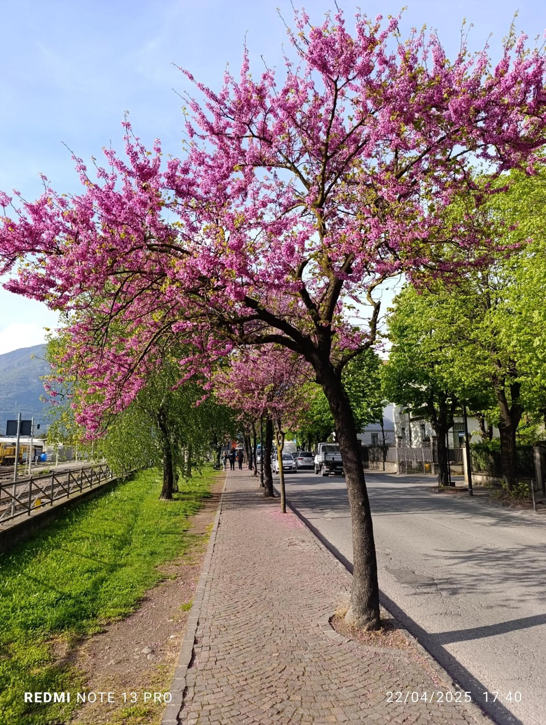 sleep well motel total