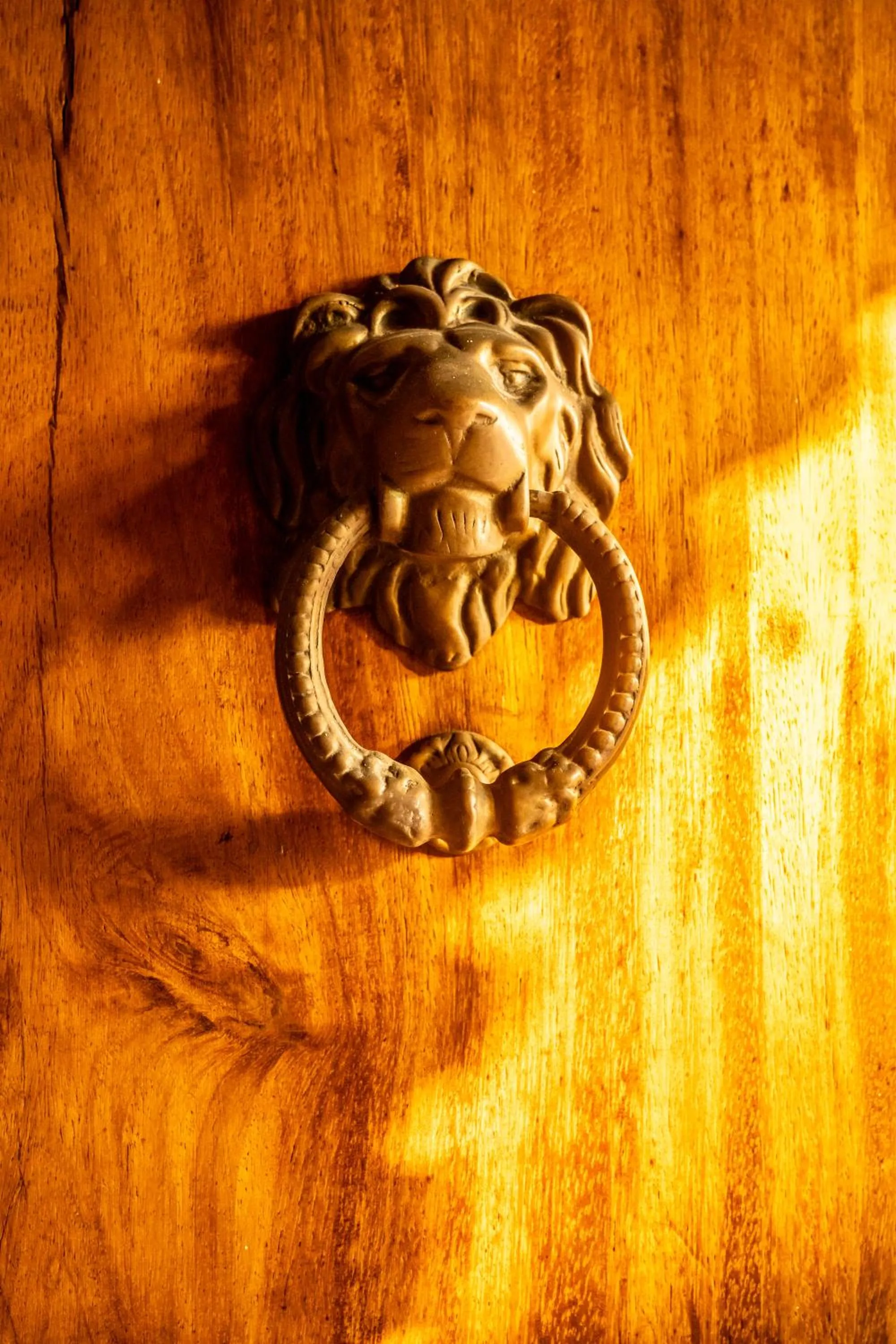 5 Frogs Hotel Bucerias