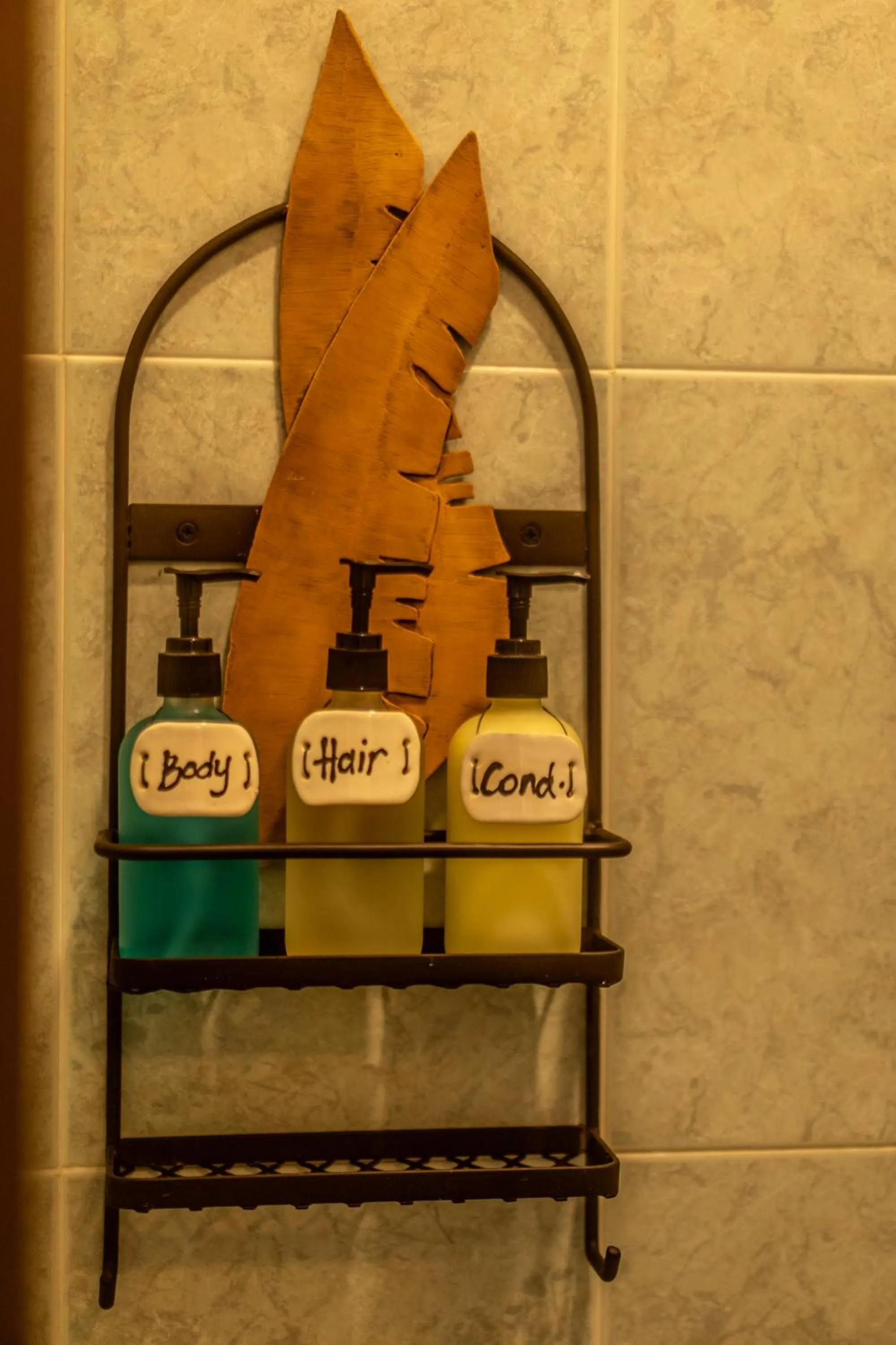 5 Frogs Hotel Bucerias