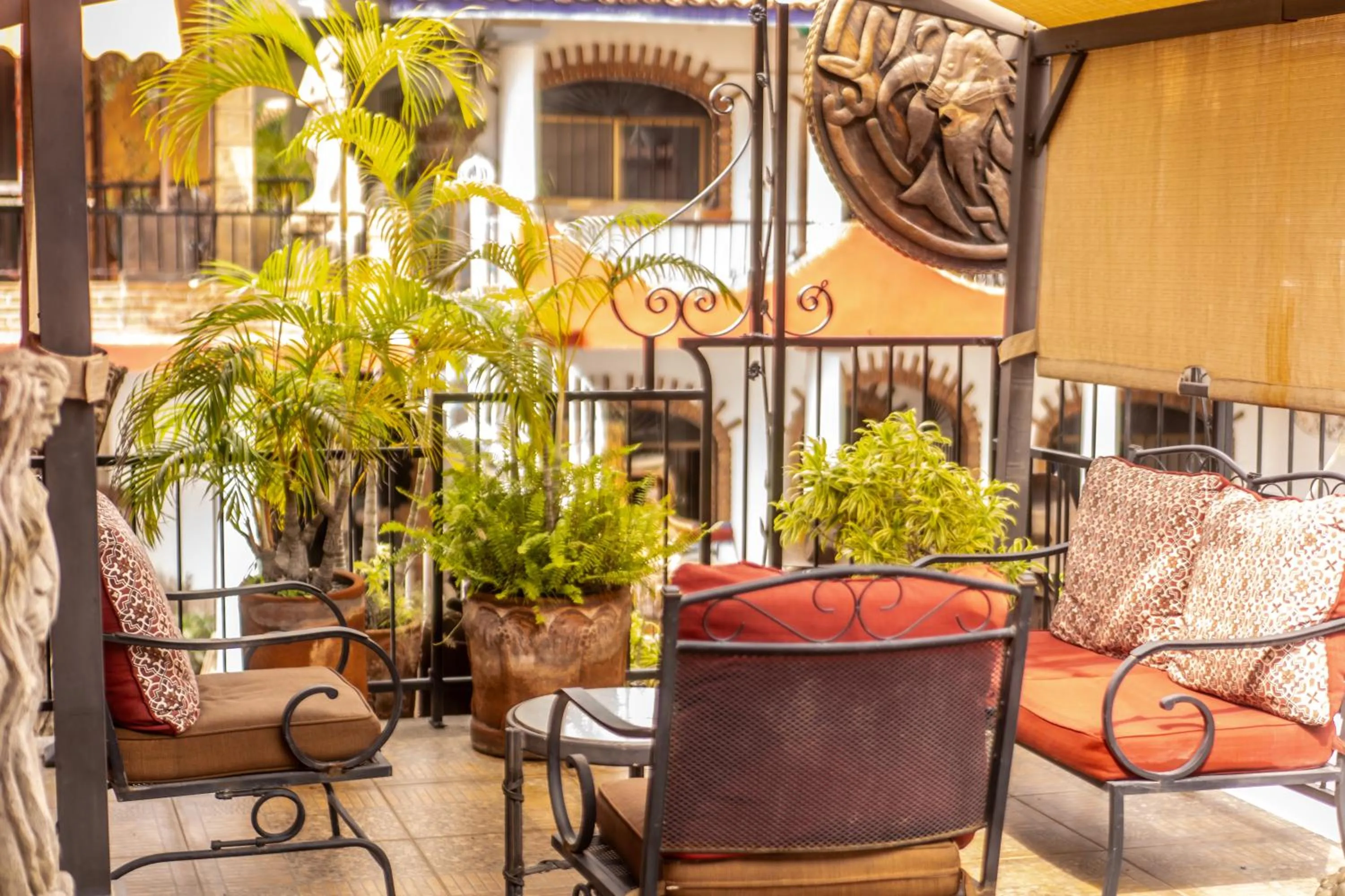 5 Frogs Hotel Bucerias