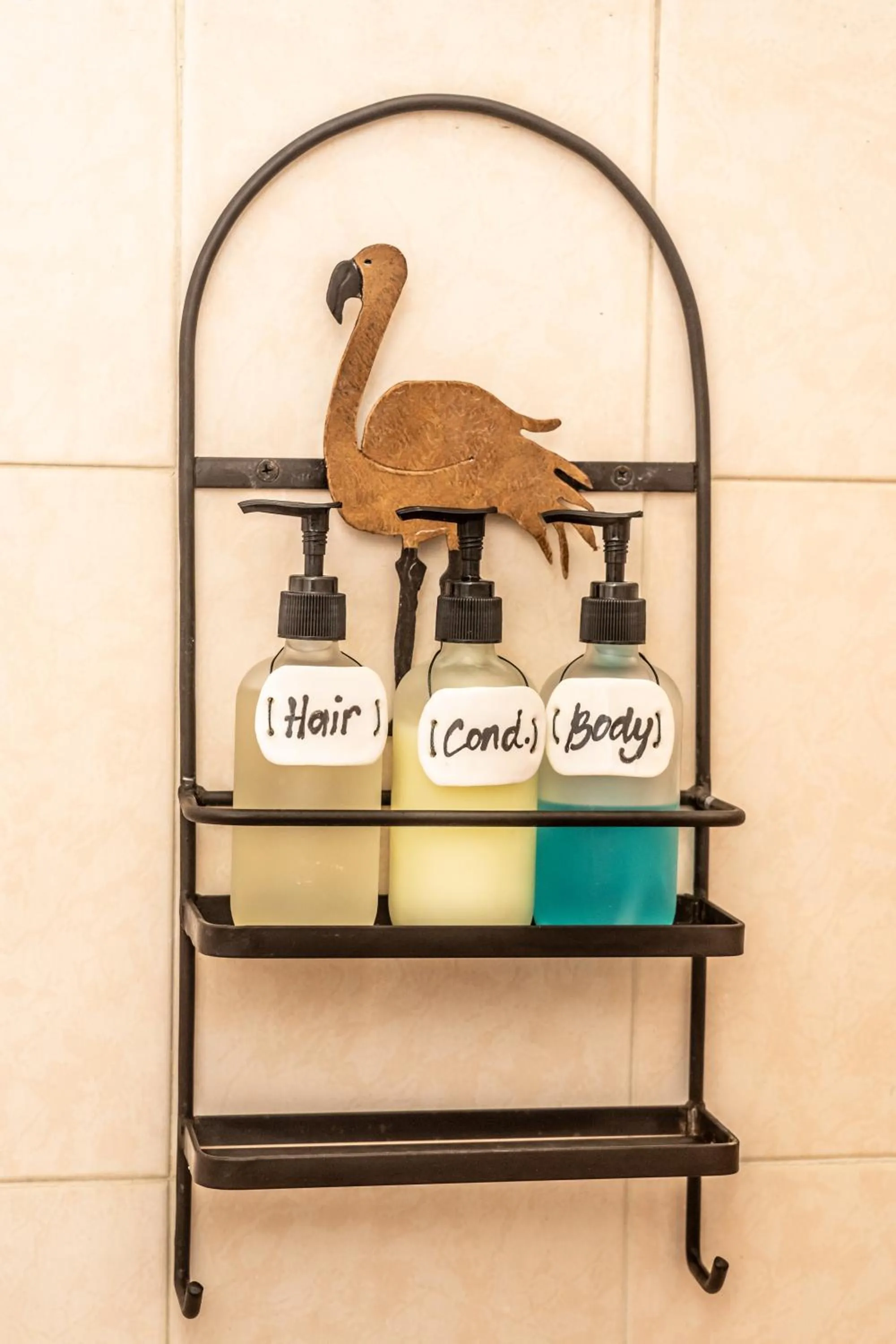 5 Frogs Hotel Bucerias