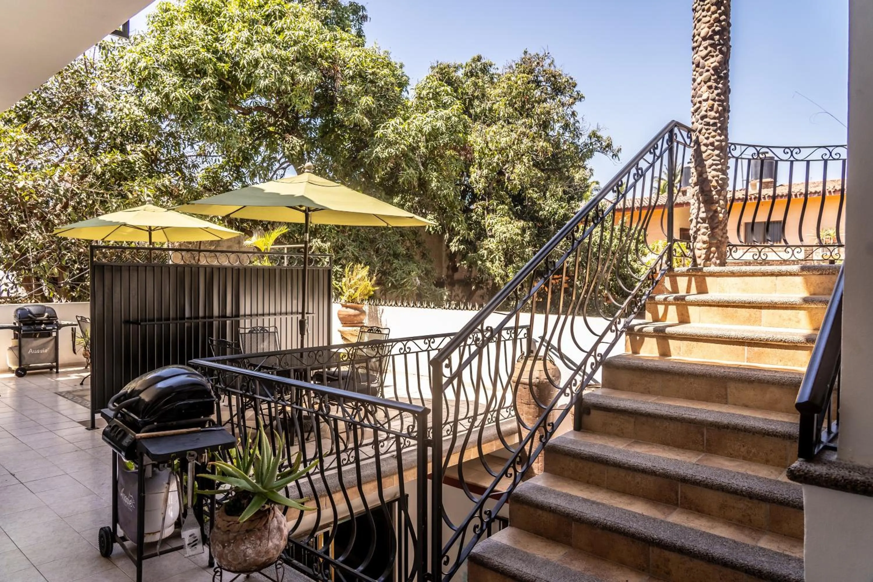 5 Frogs Hotel Bucerias