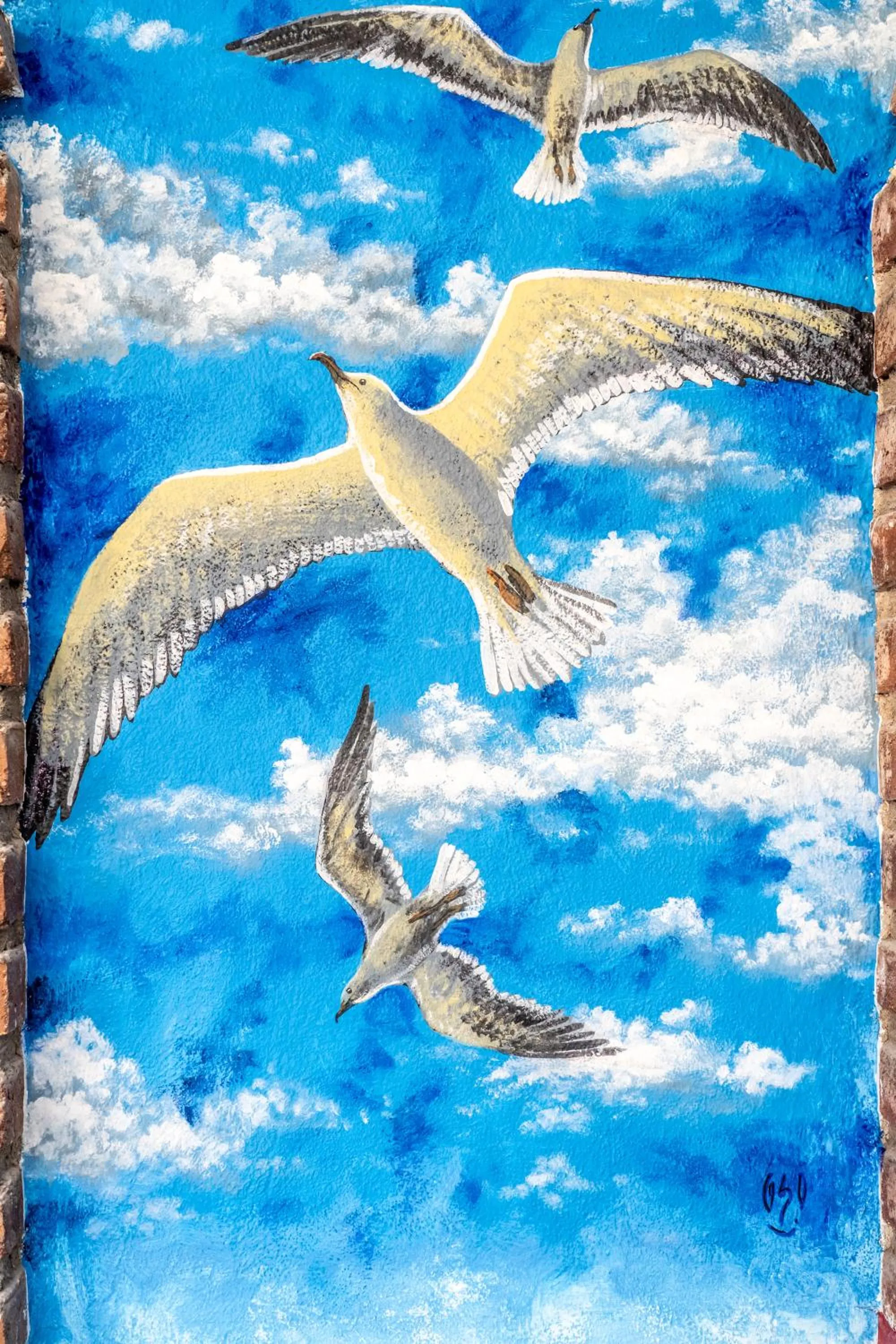 5 Frogs Hotel Bucerias