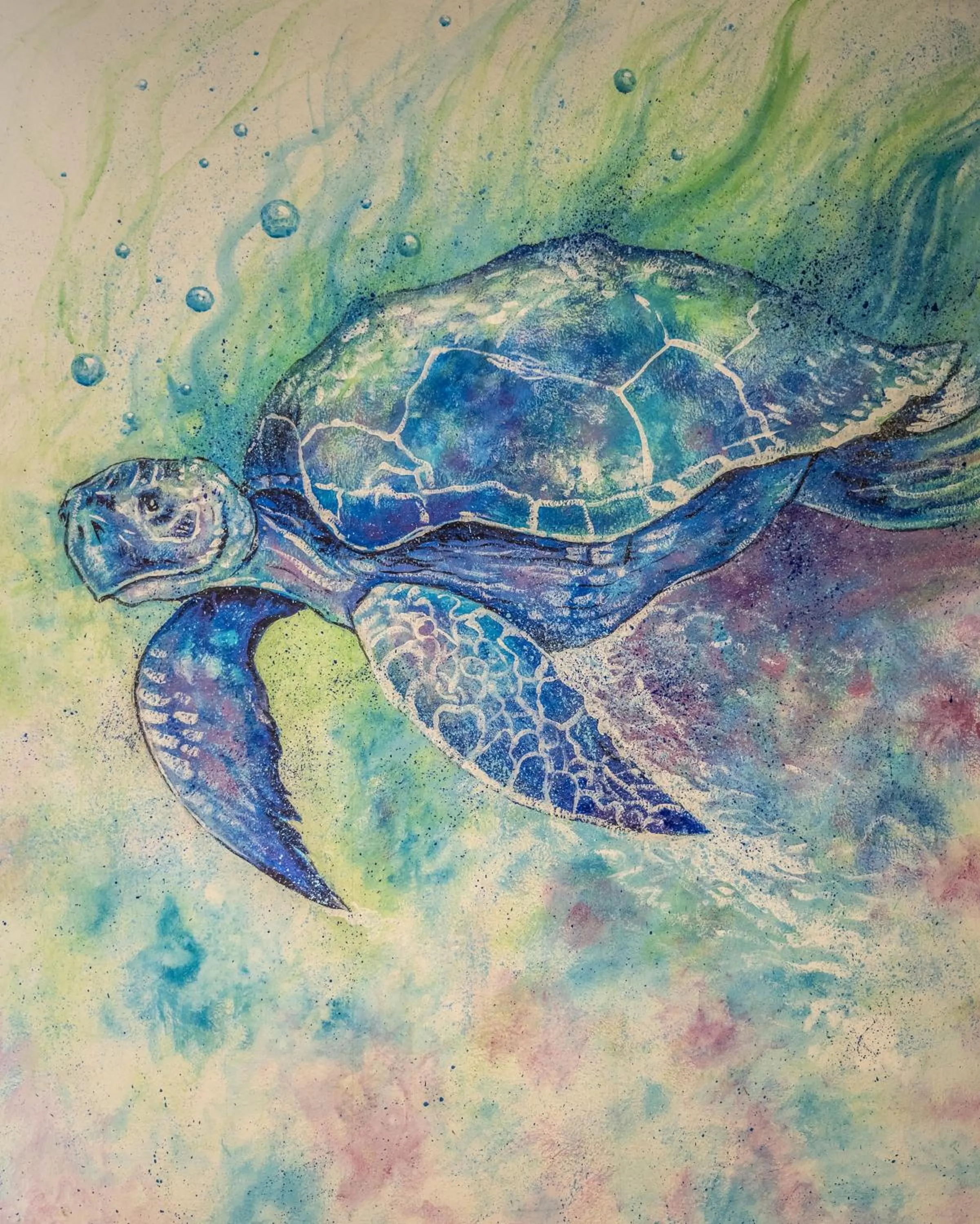 5 Frogs Hotel Bucerias