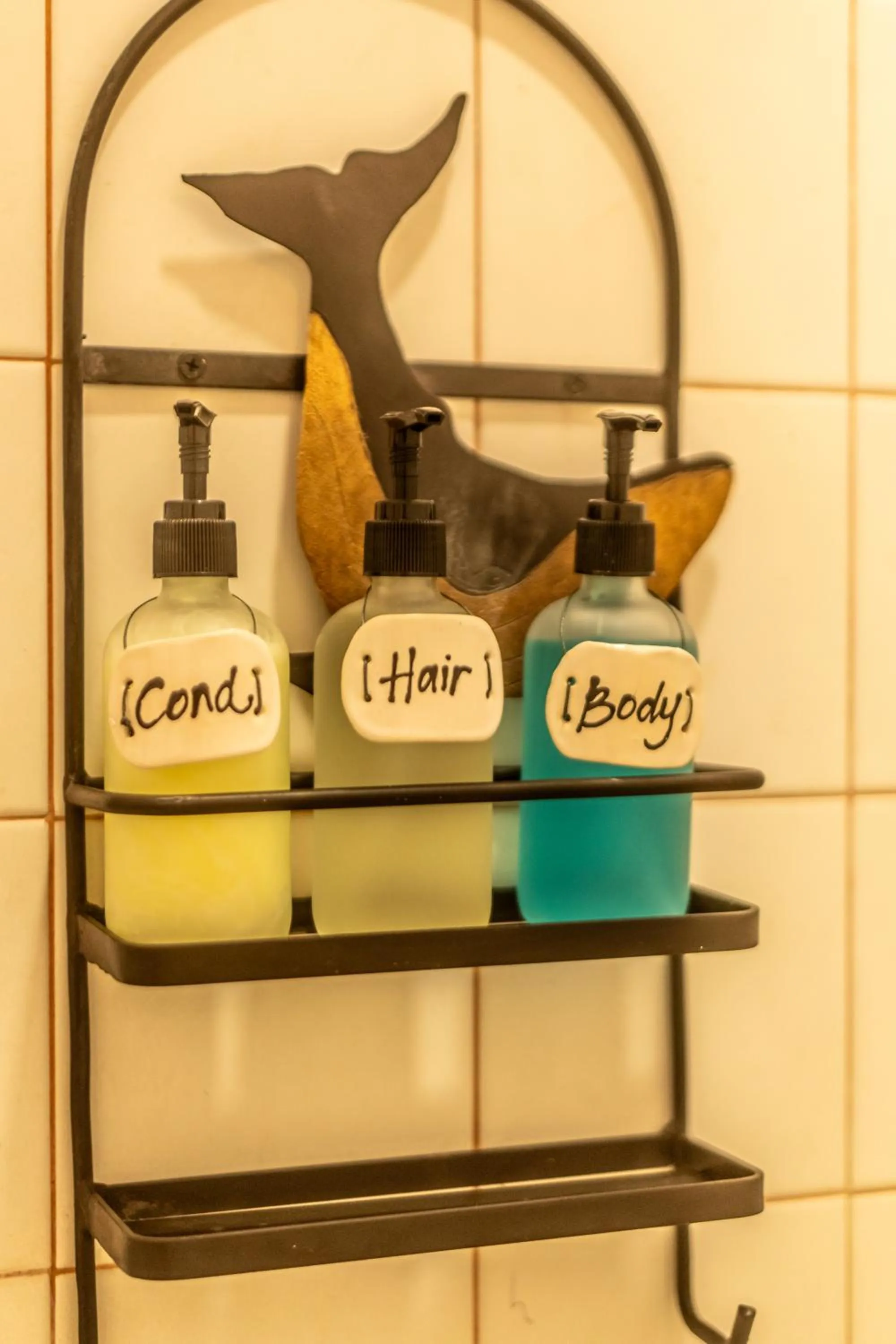 5 Frogs Hotel Bucerias