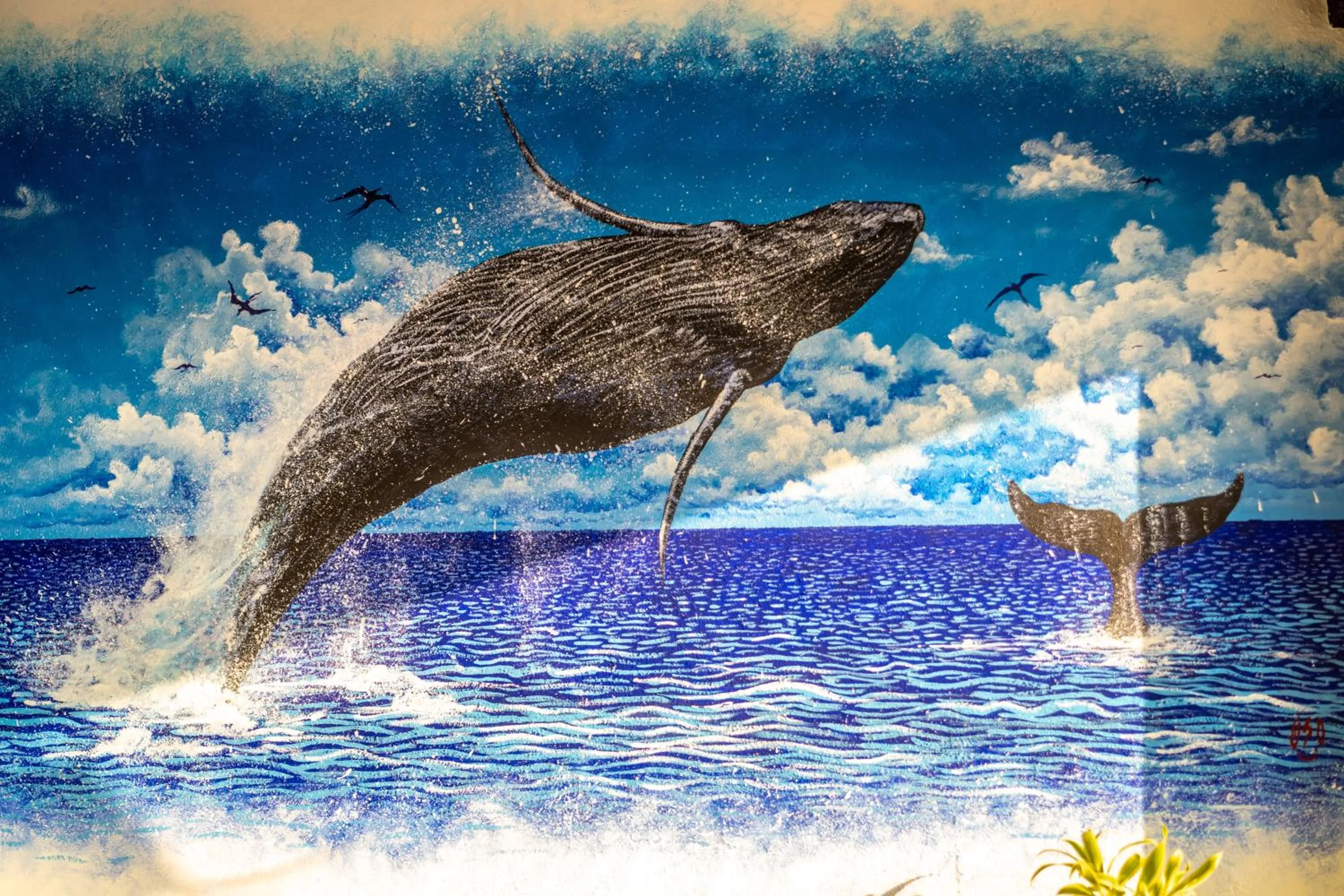 5 Frogs Hotel Bucerias