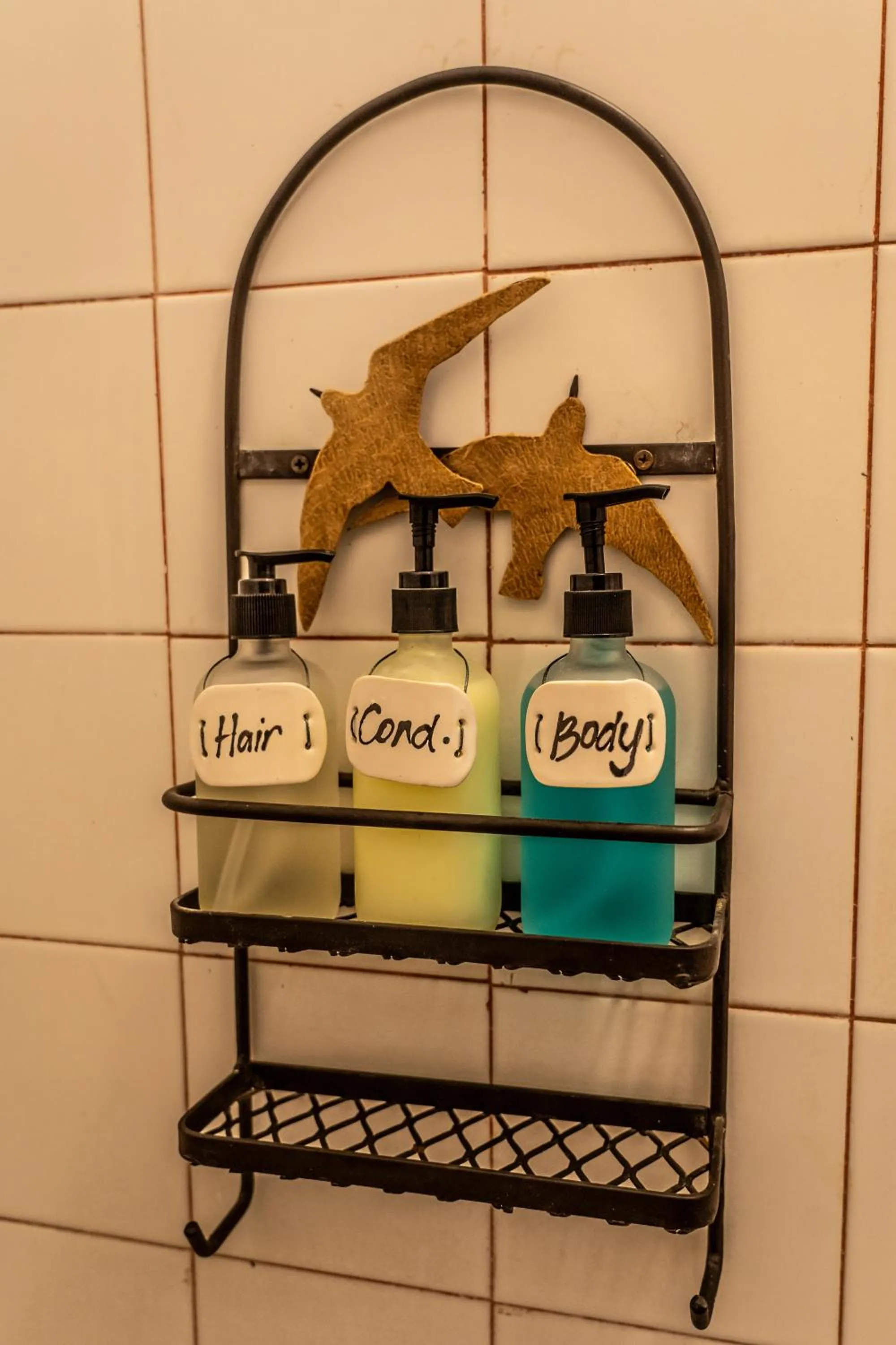 5 Frogs Hotel Bucerias