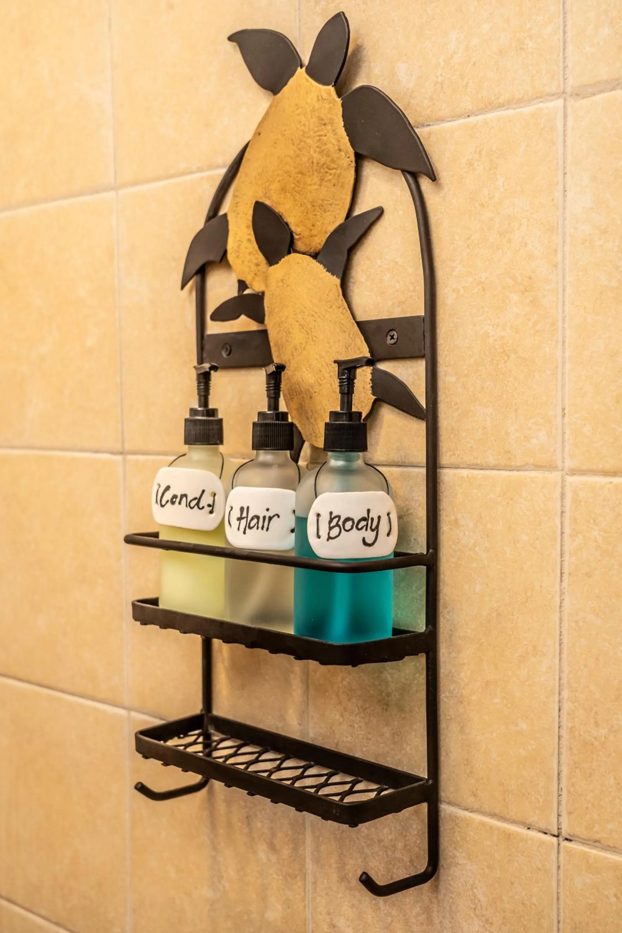 5 Frogs Hotel Bucerias