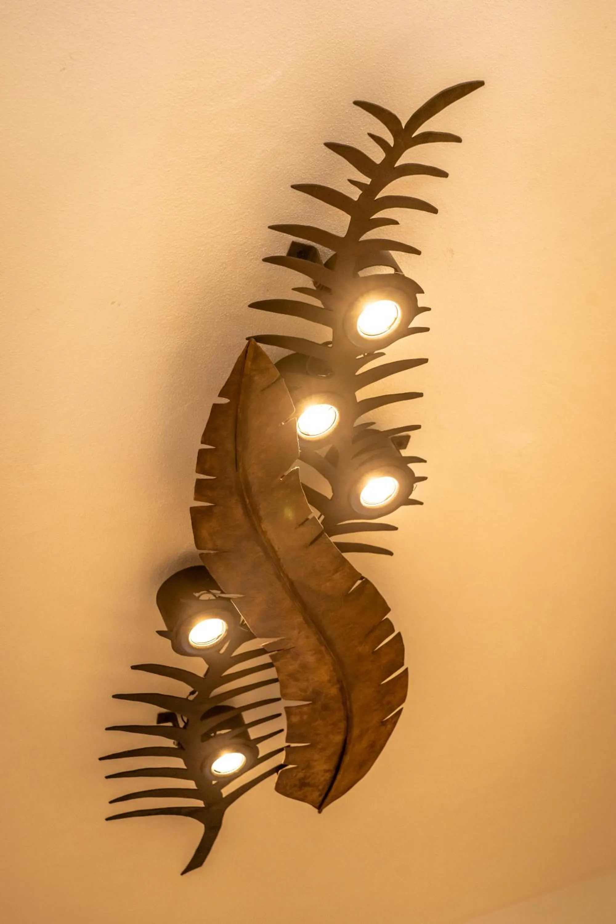 5 Frogs Hotel Bucerias