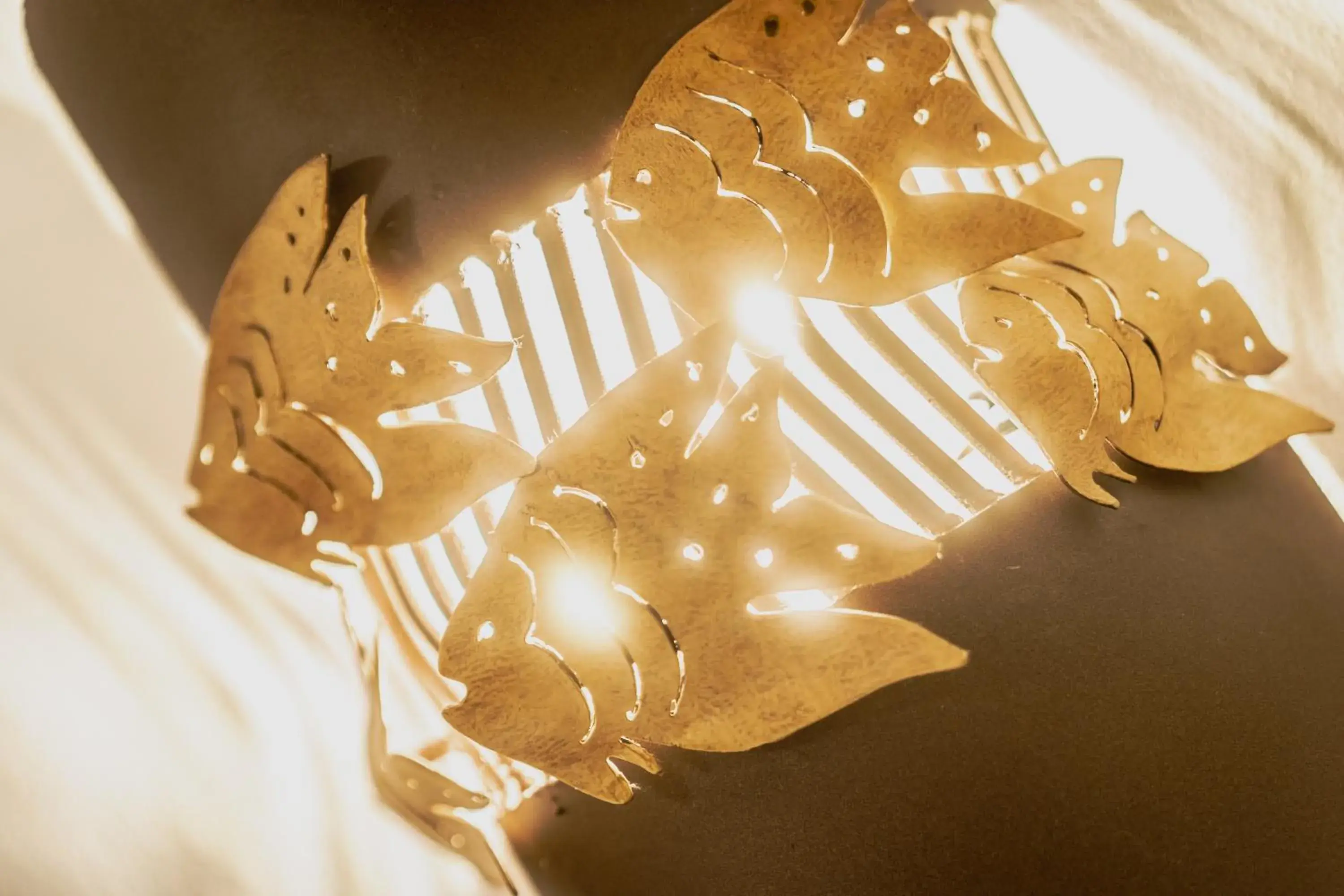 5 Frogs Hotel Bucerias 5 Frogs Hotel Bucerias