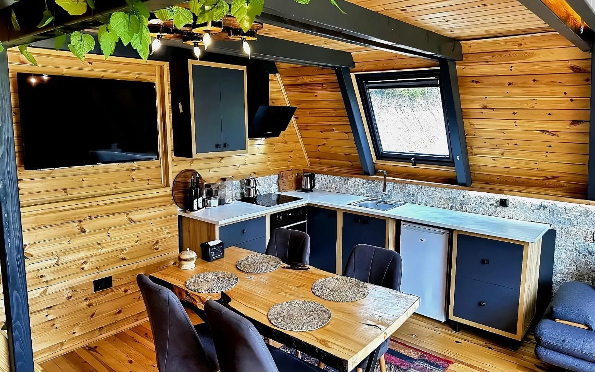 Kitchen or kitchenette in paradise valley bungalow