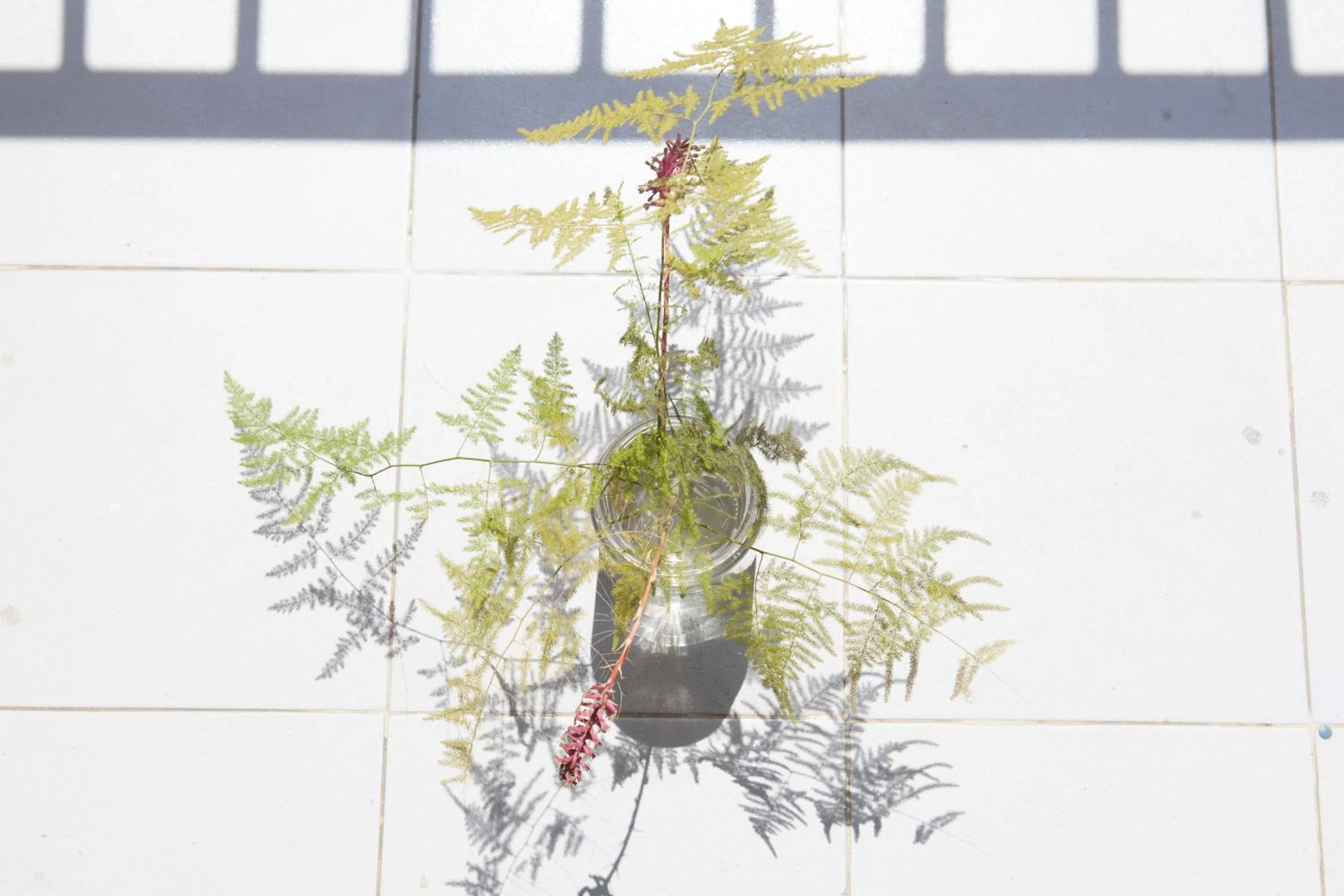 Balcony/Terrace in Hotel Northfield