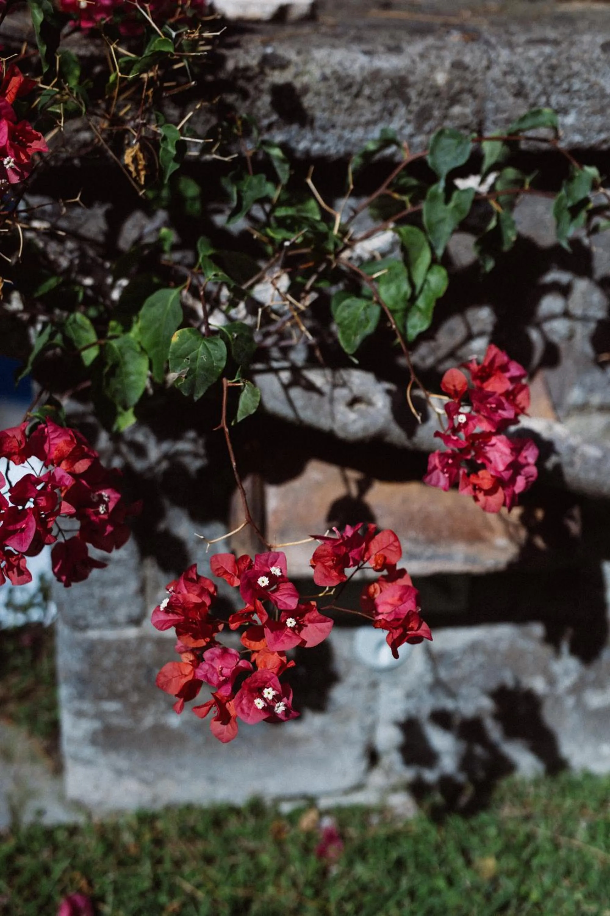 Capo Santa Fortunata