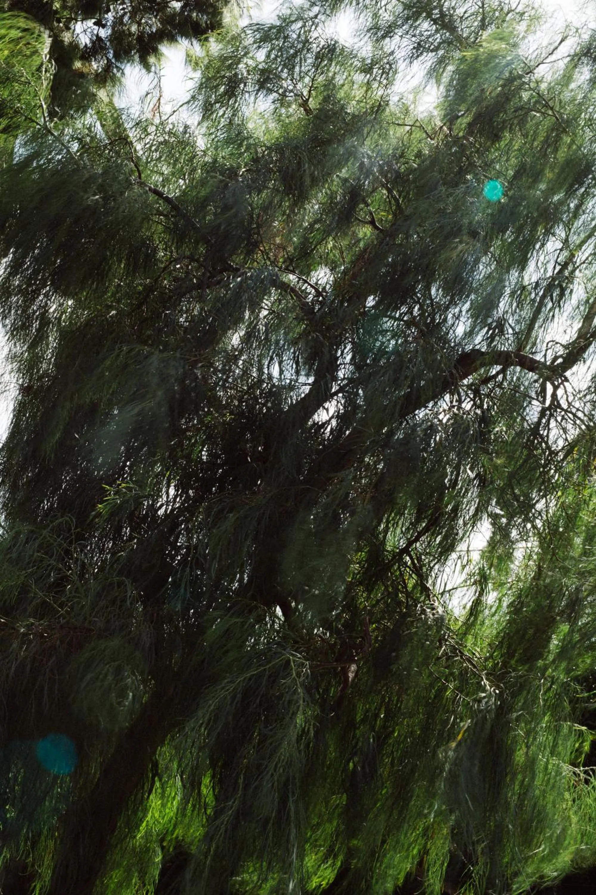 Capo Santa Fortunata