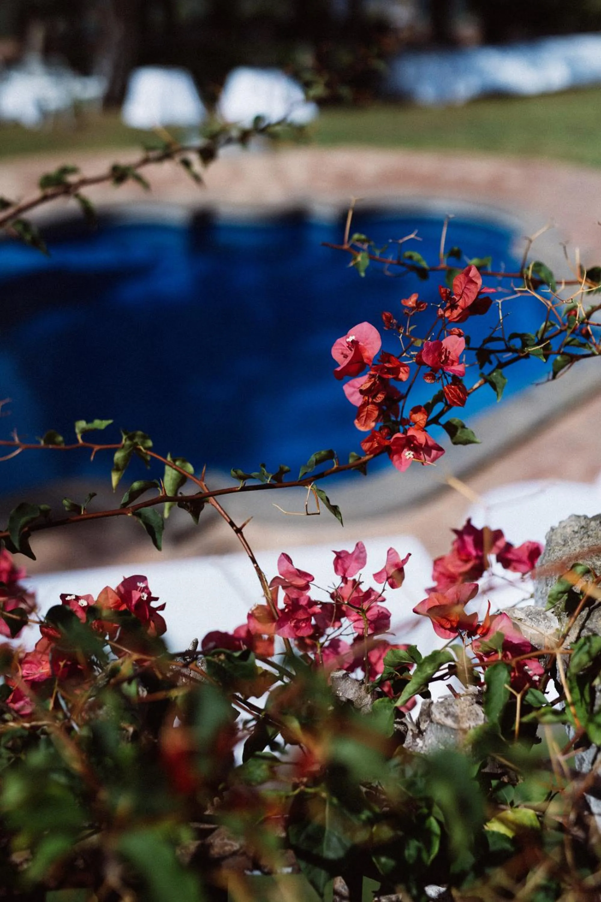 Capo Santa Fortunata