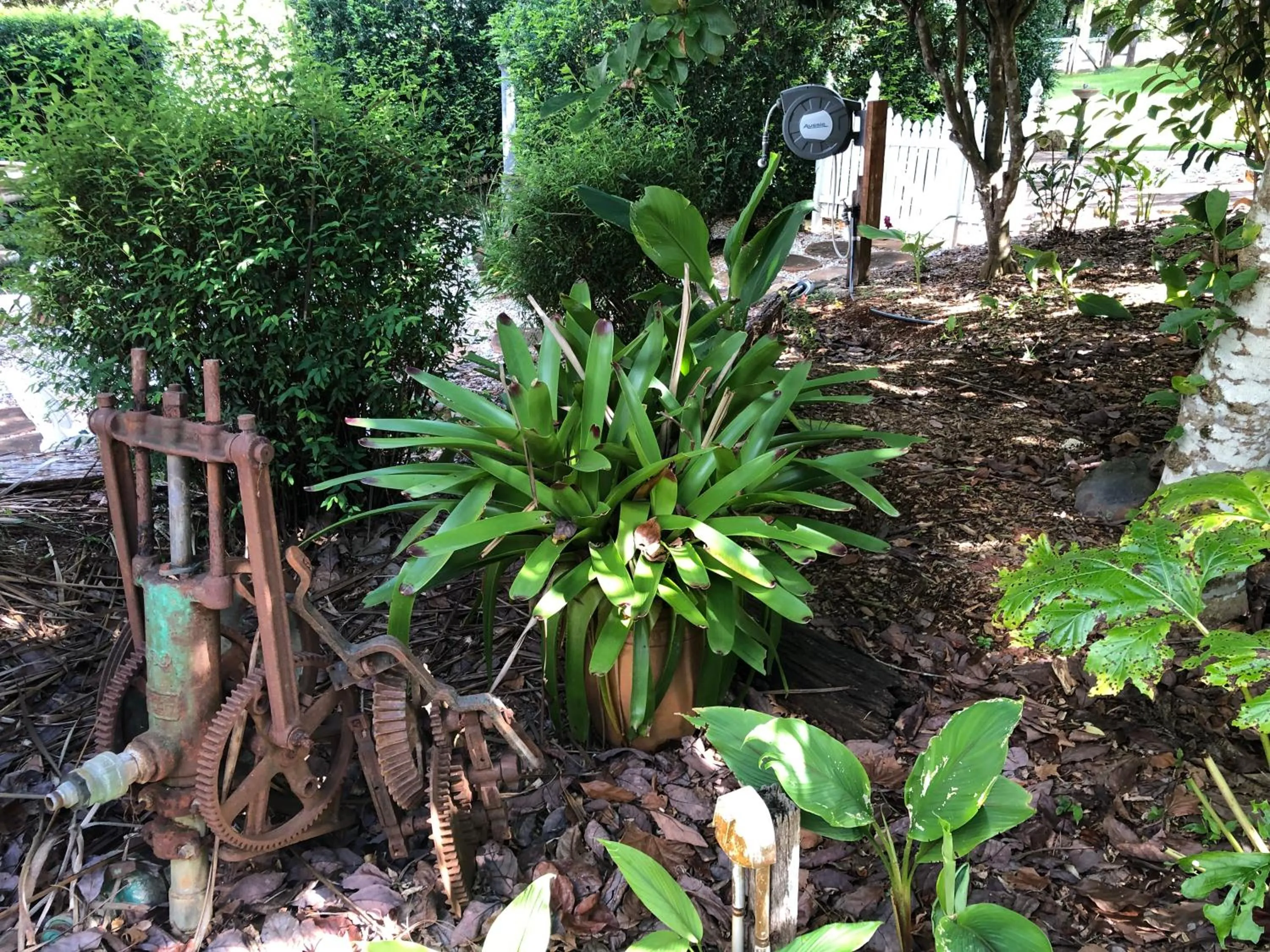 Garden in Memory Lane Accommodation