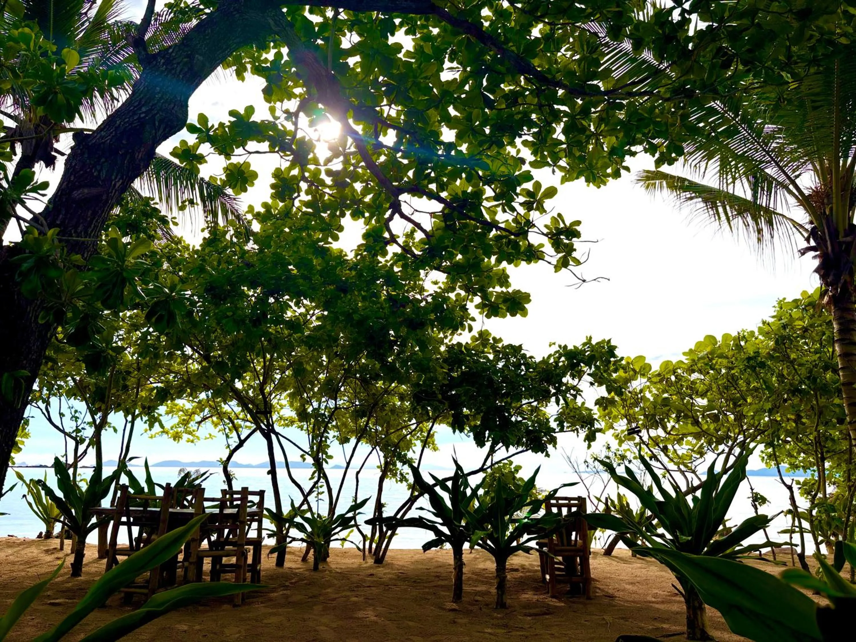 Dos Playa EcoCamp Daracoton Island