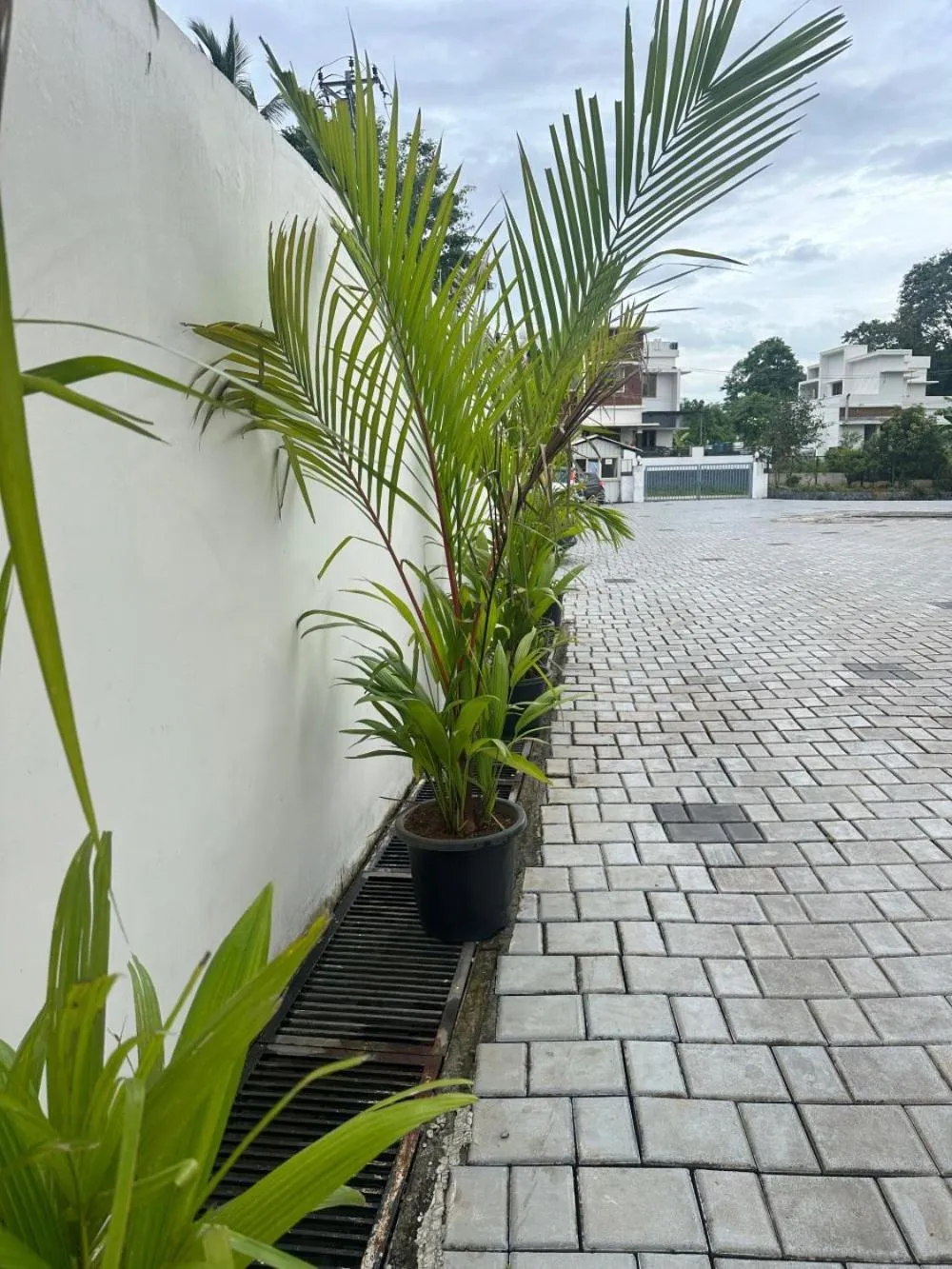 Parking in Fortune Hills