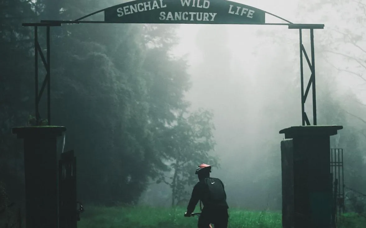 Cycling in The Revett