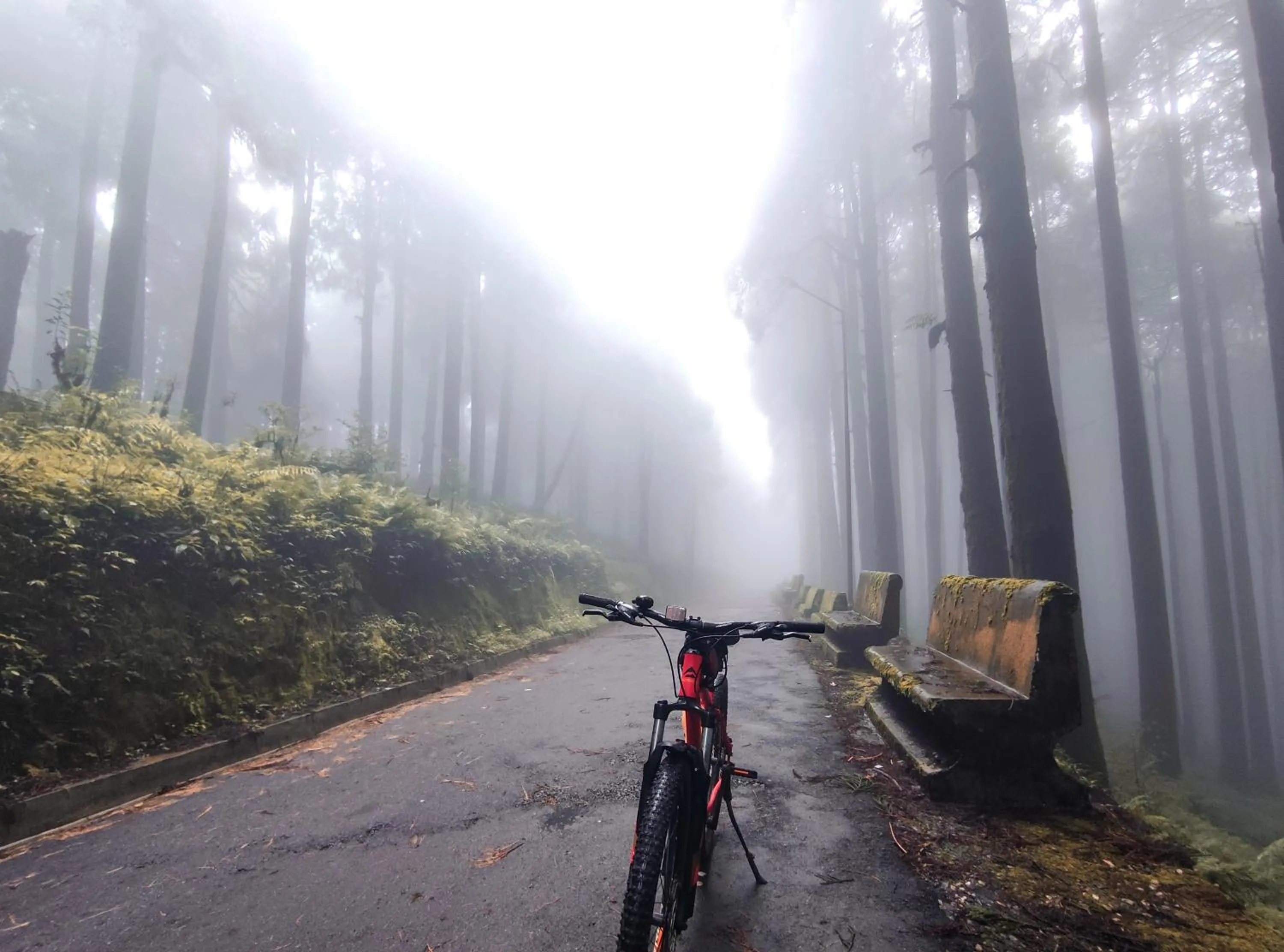 Cycling in The Revett