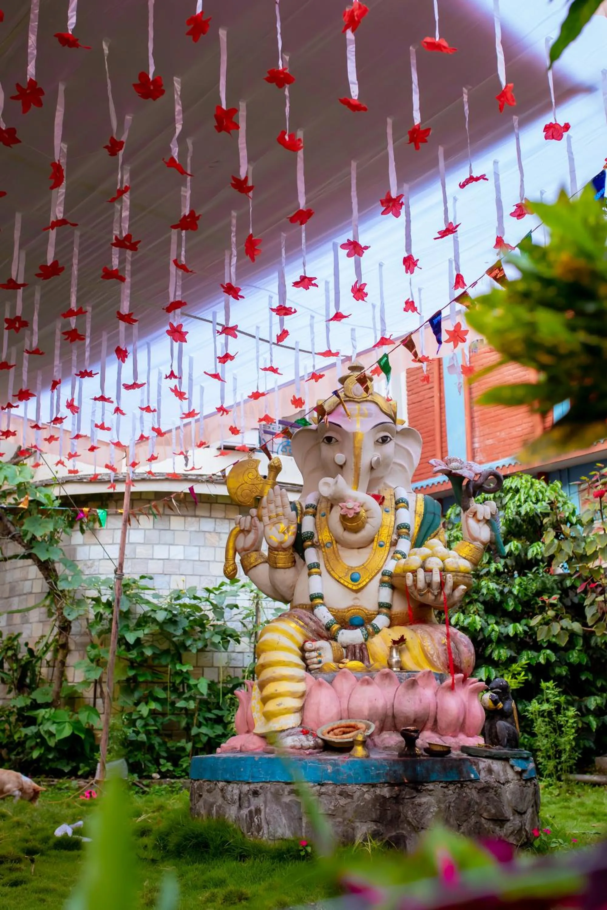 Garden view in Blue Planet Lodge & Restaurant