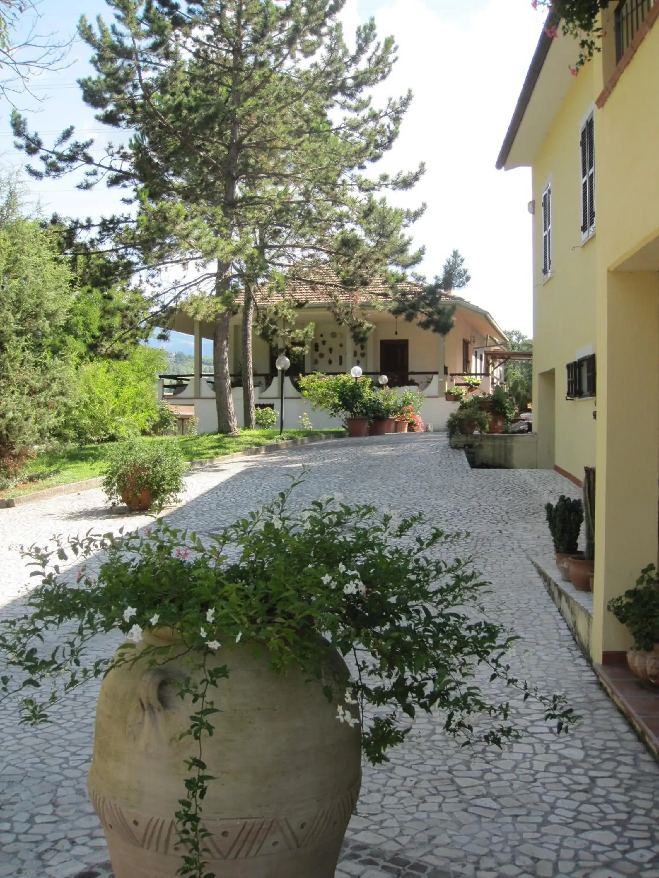 Valle degli Ulivi appartamento Valle degli Ulivi appartamento
