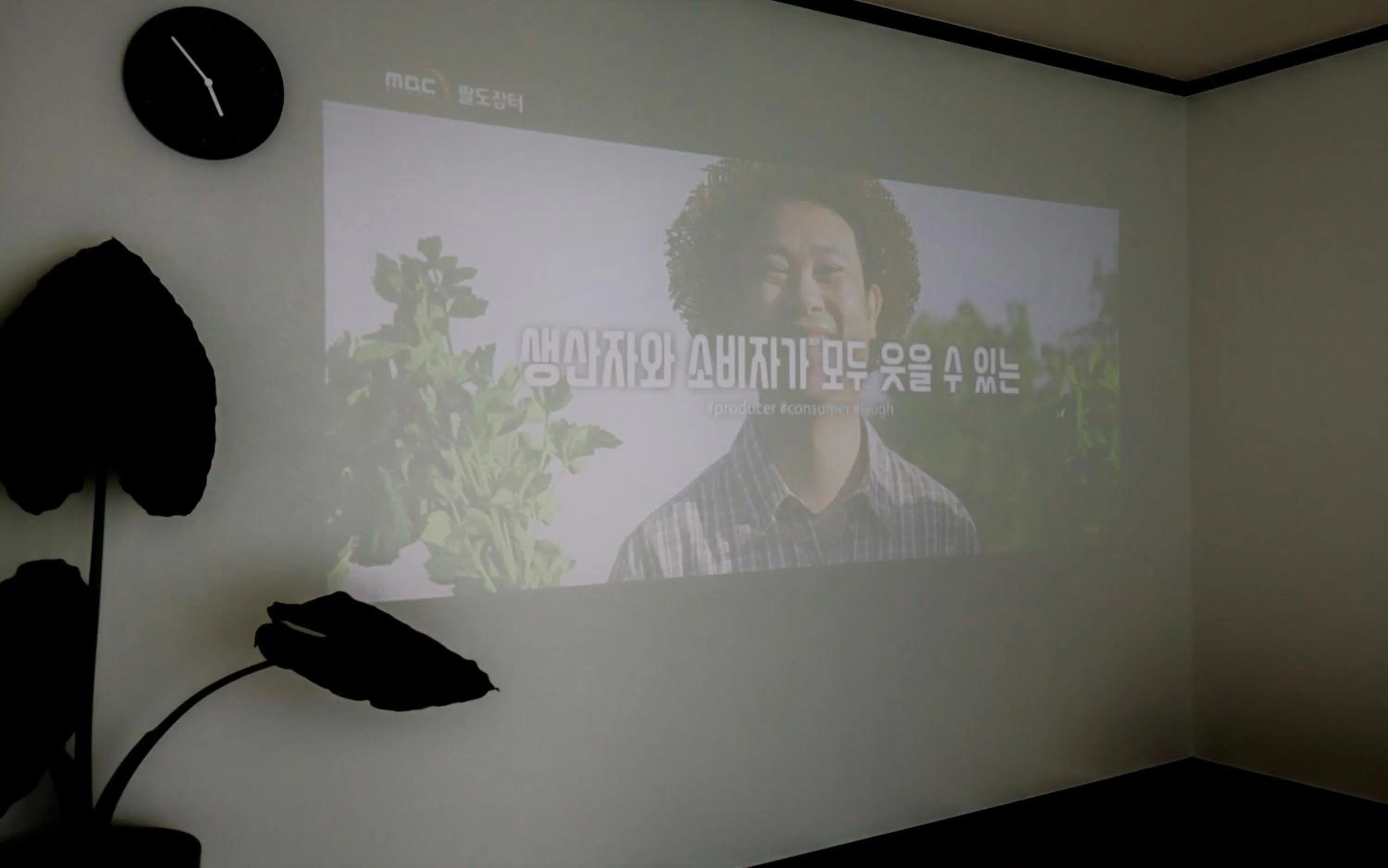 Seogwipo The Hyeyum Stay