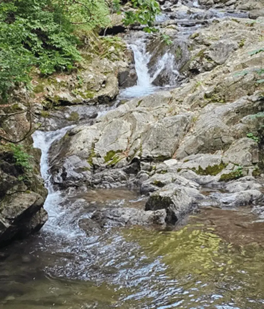 Fortune Rising Sun Hill Pension B Fortune Rising Sun Hill Pension B